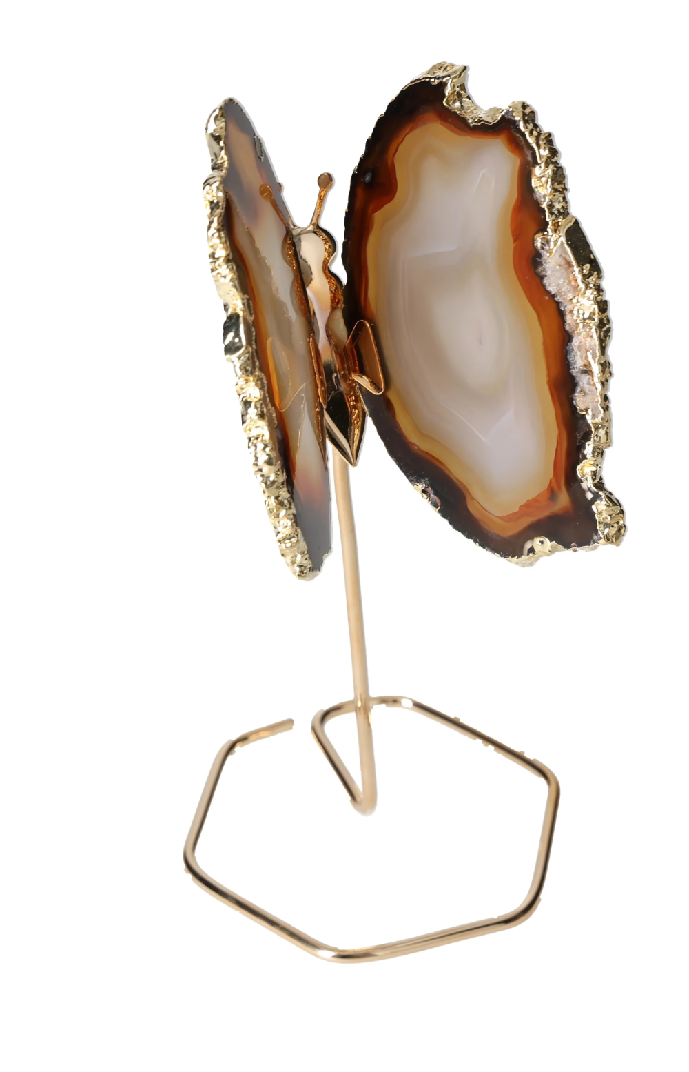 orbitvu|type:image2d