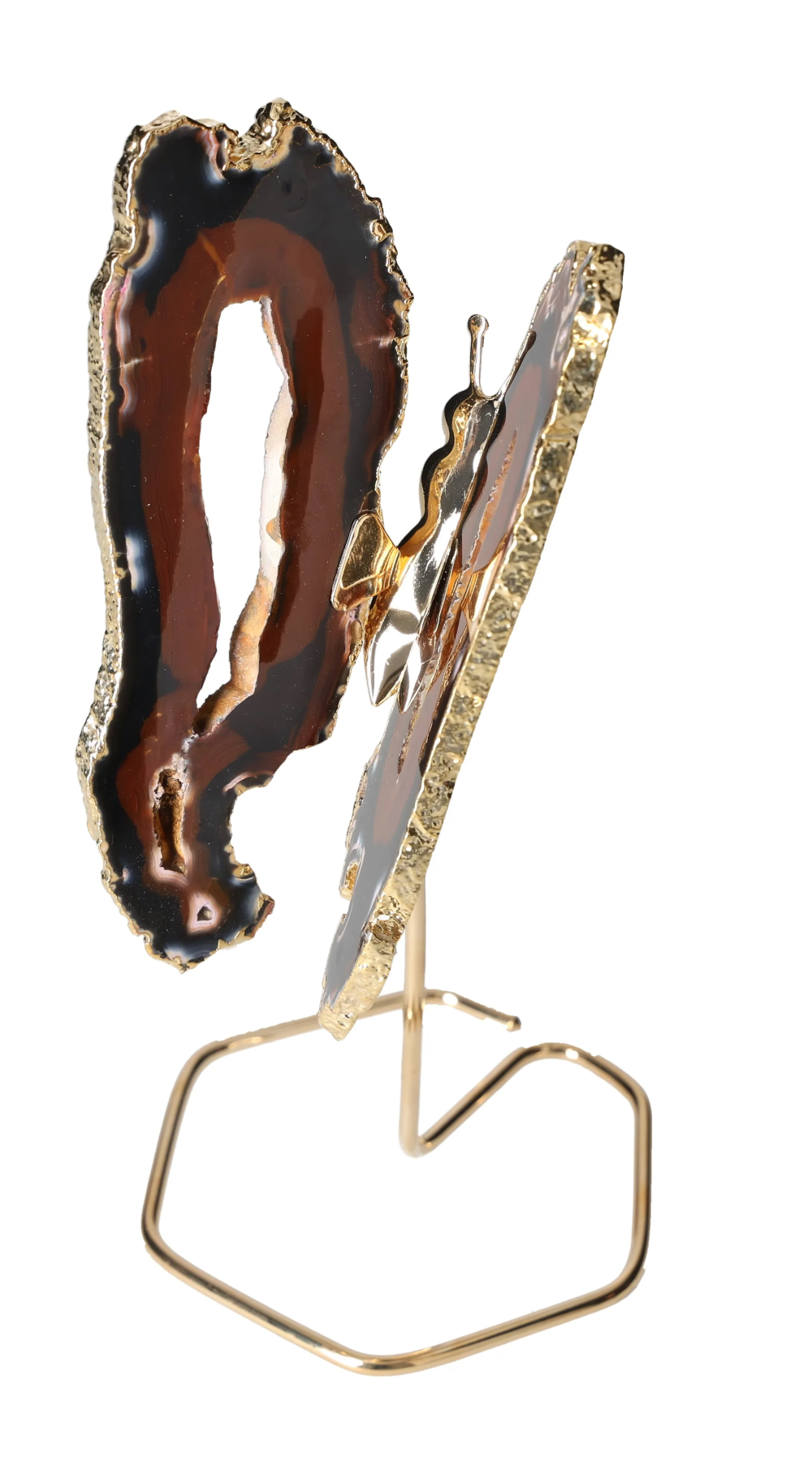 orbitvu|type:image2d