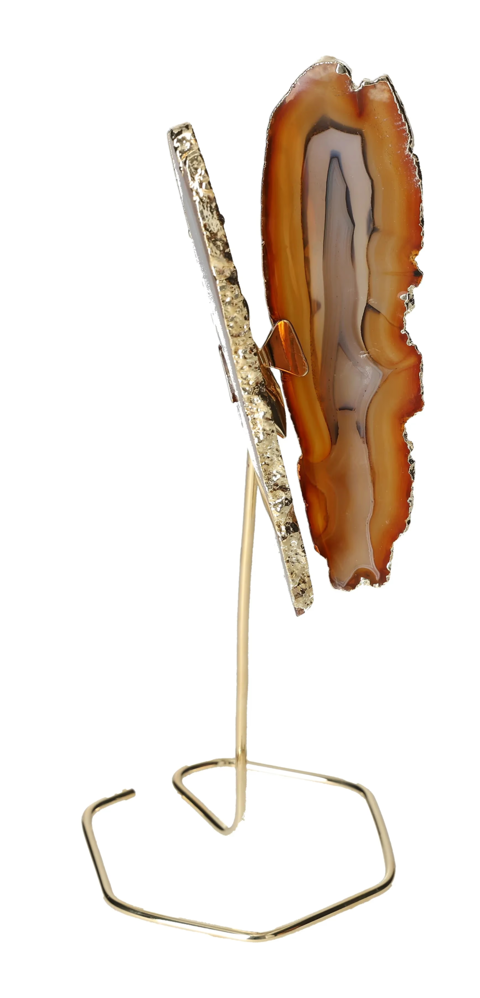 orbitvu|type:image2d