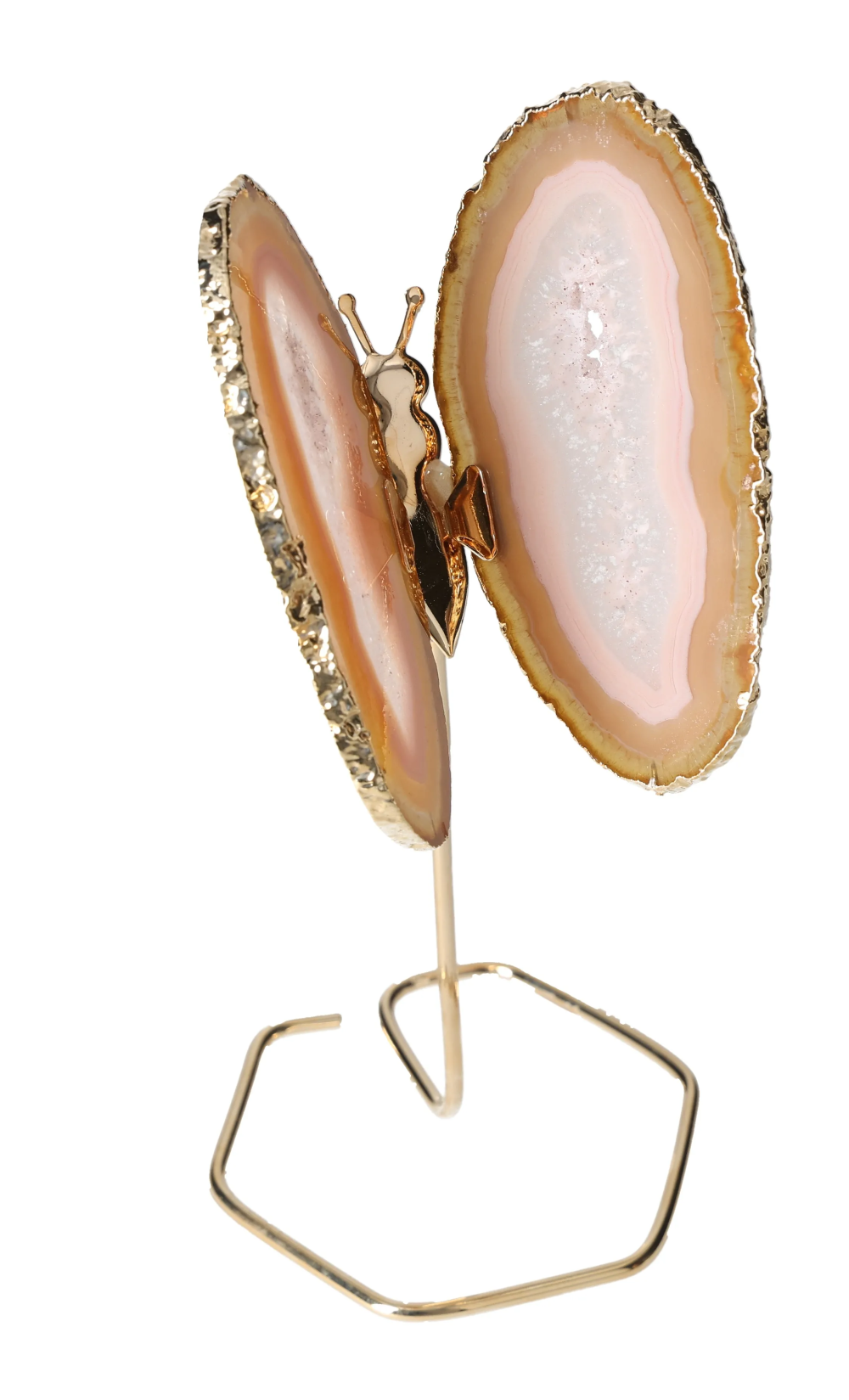 orbitvu|type:image2d