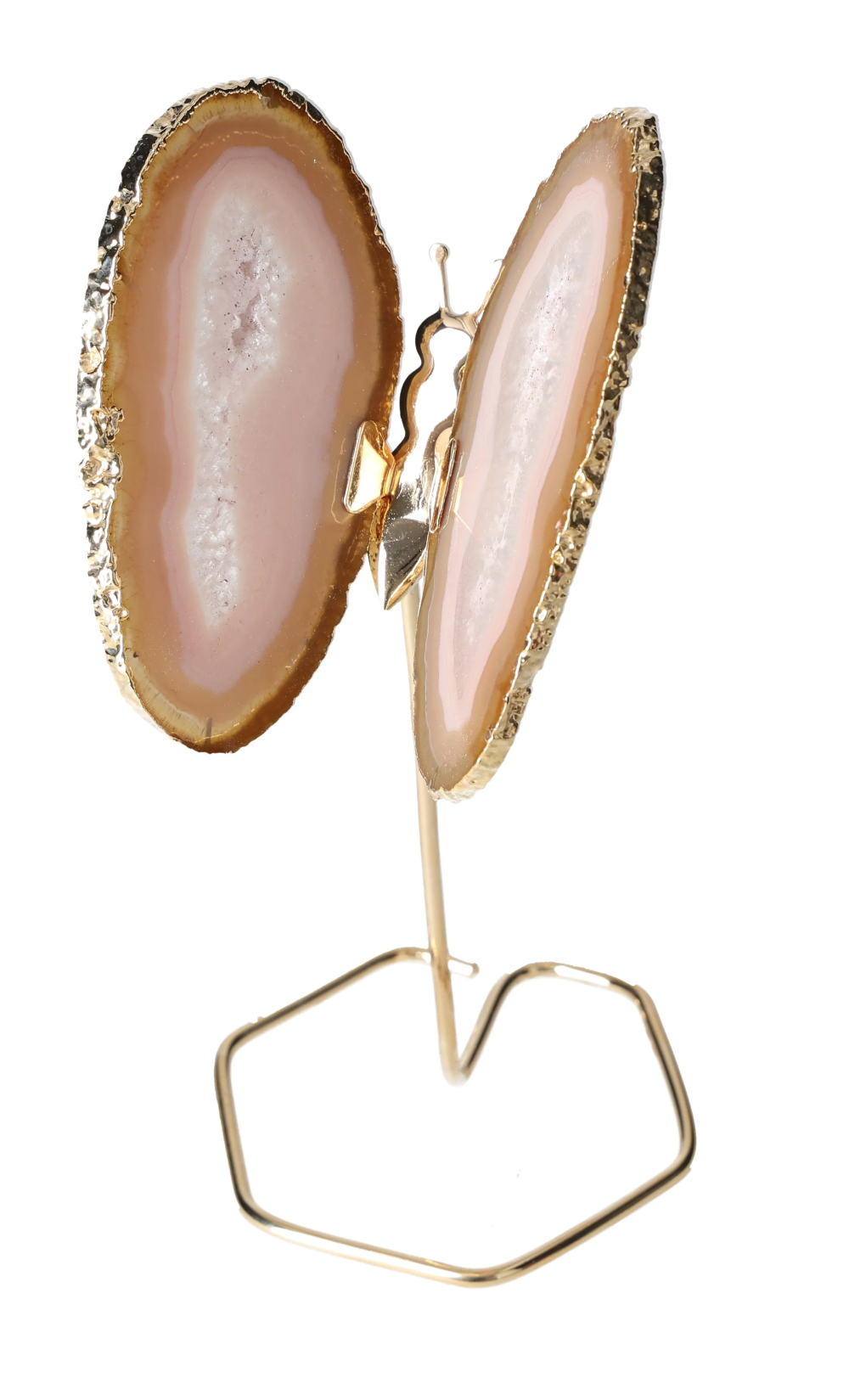 orbitvu|type:image2d