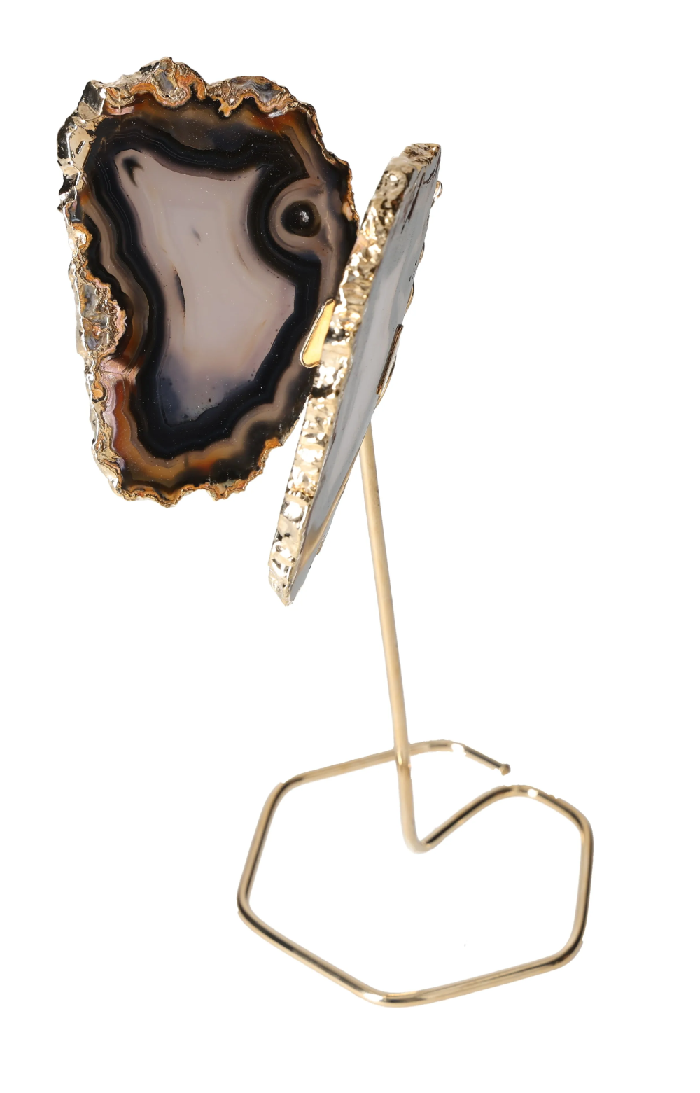 orbitvu|type:image2d