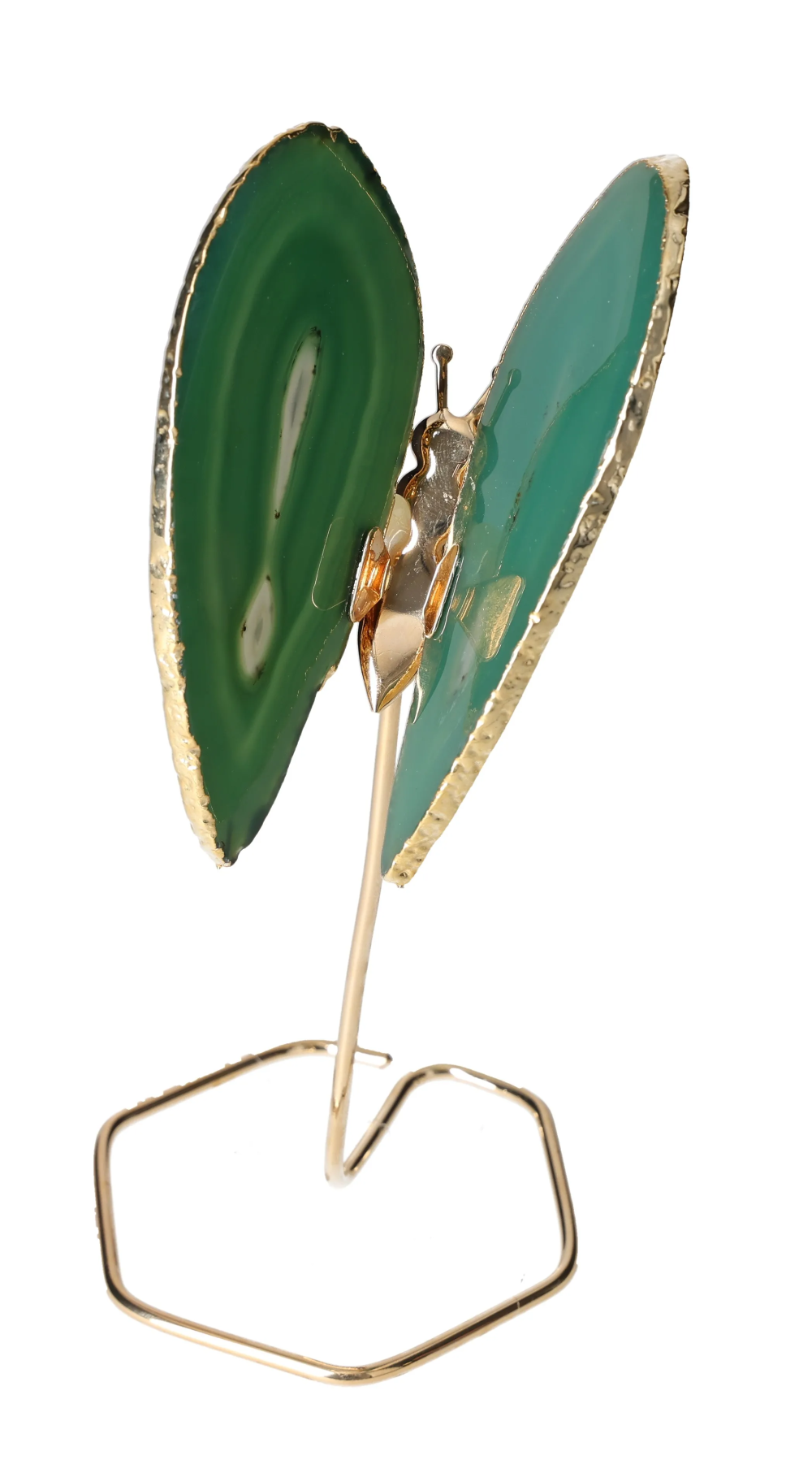 orbitvu|type:image2d