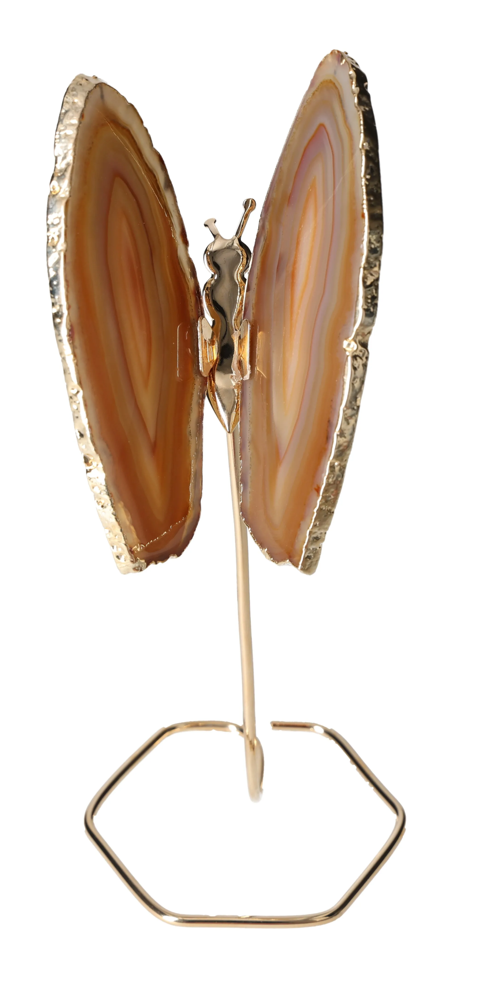 orbitvu|type:image2d