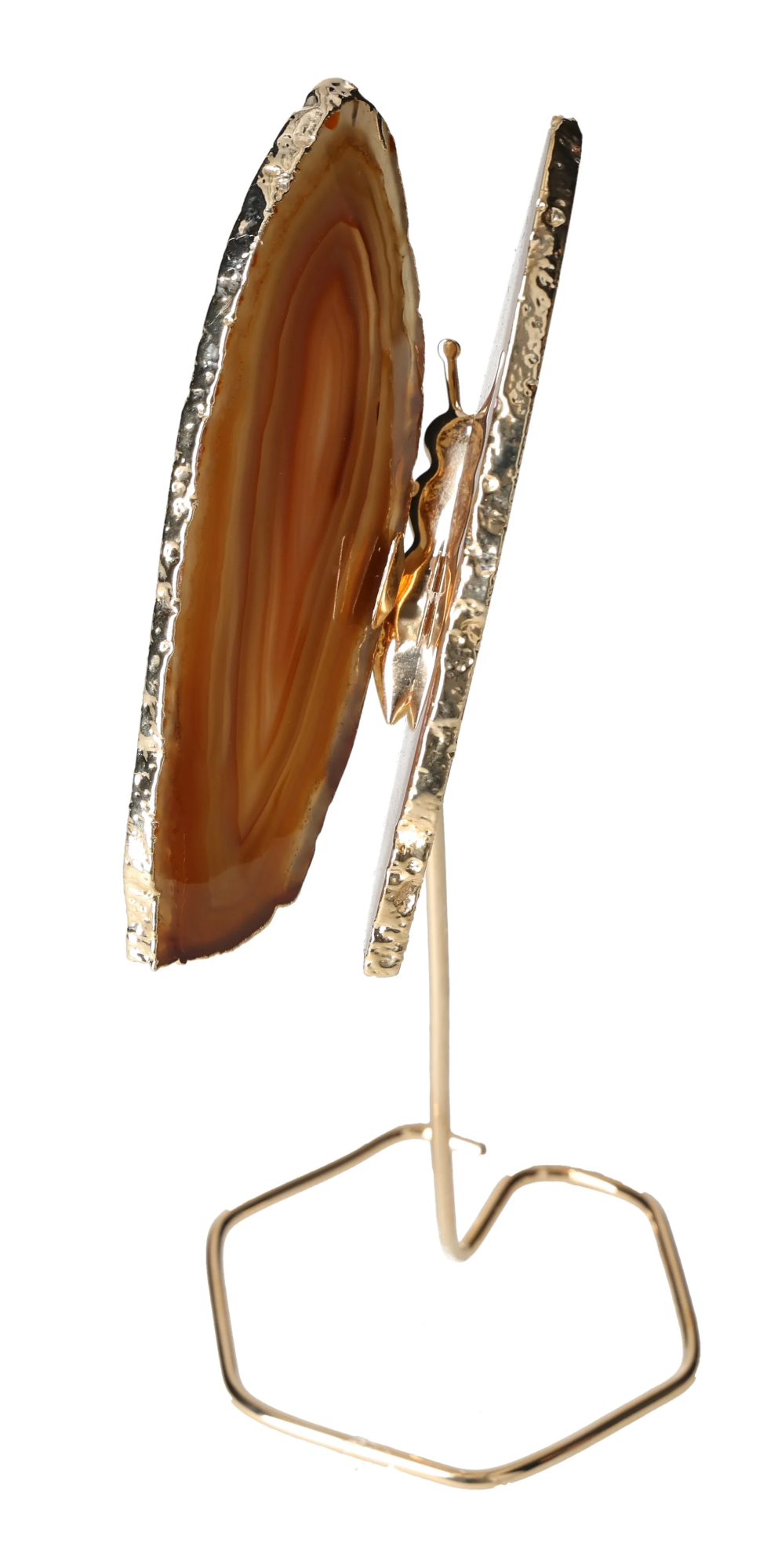 orbitvu|type:image2d