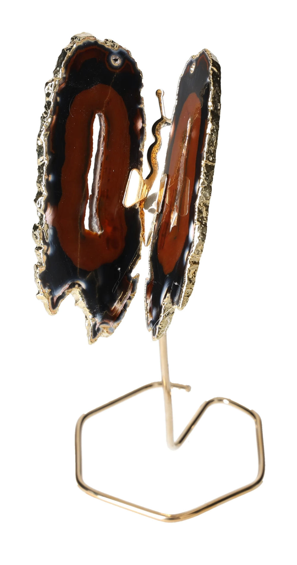 orbitvu|type:image2d