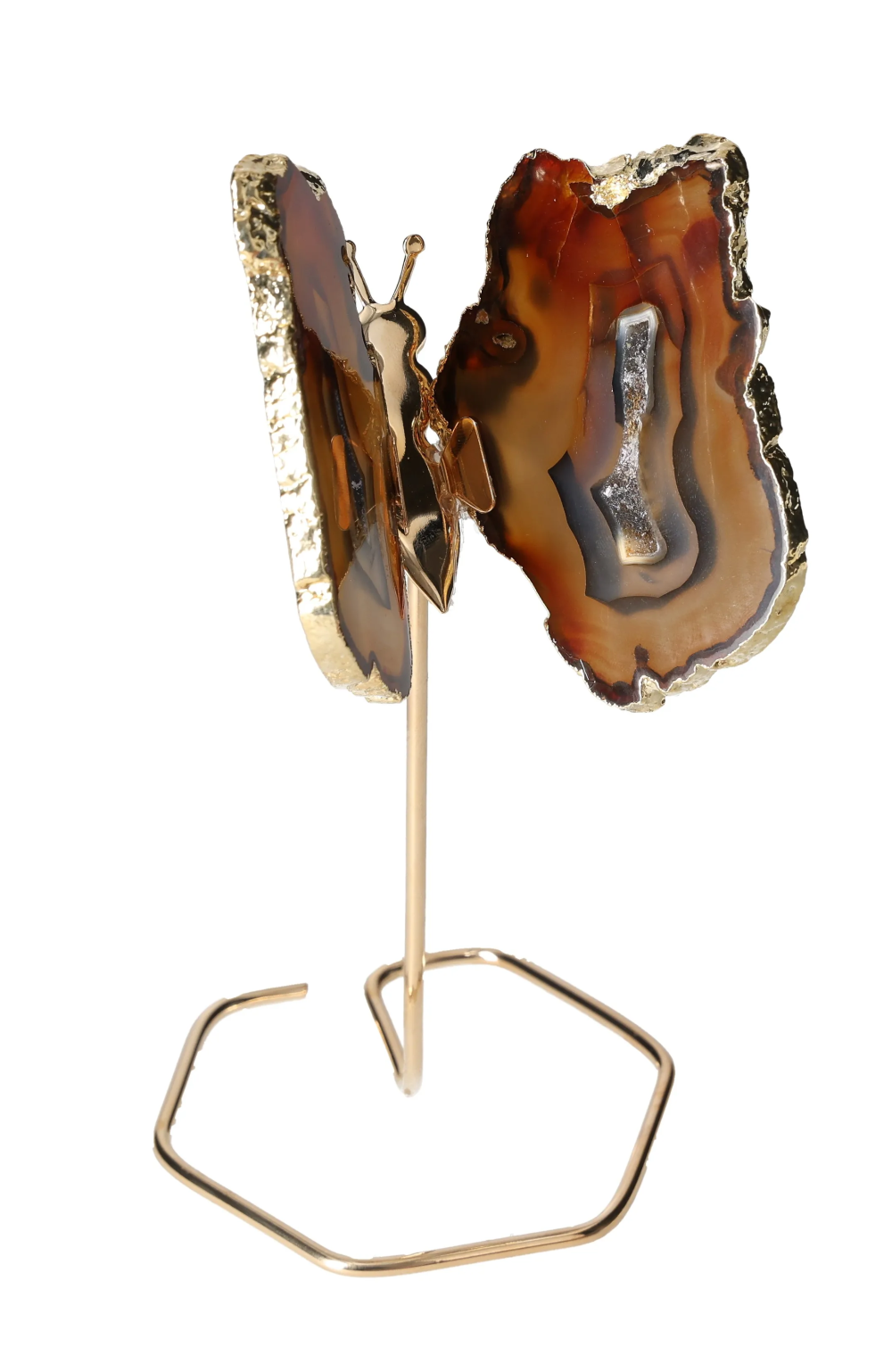 orbitvu|type:image2d