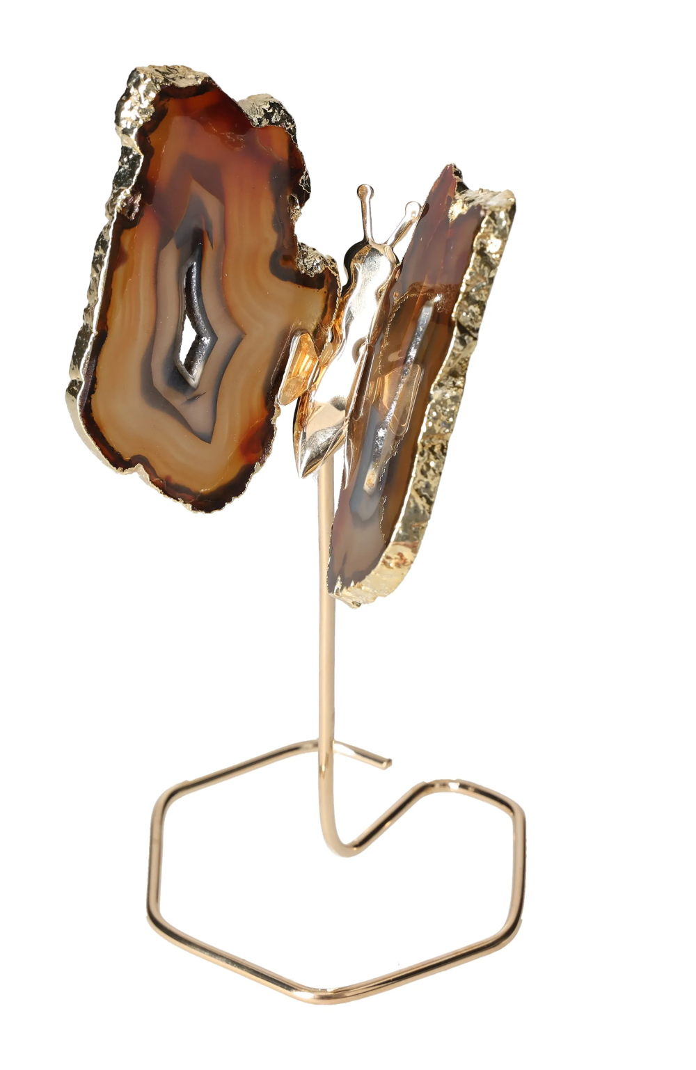 orbitvu|type:image2d