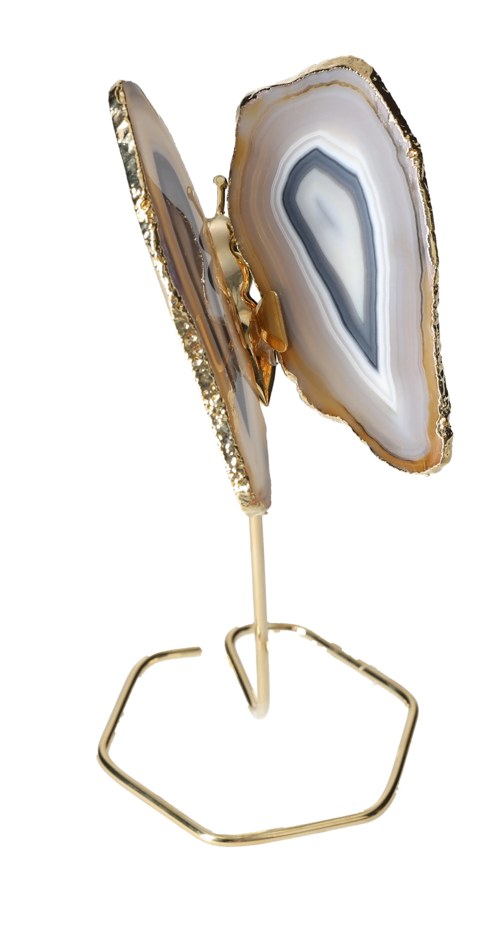 orbitvu|type:image2d