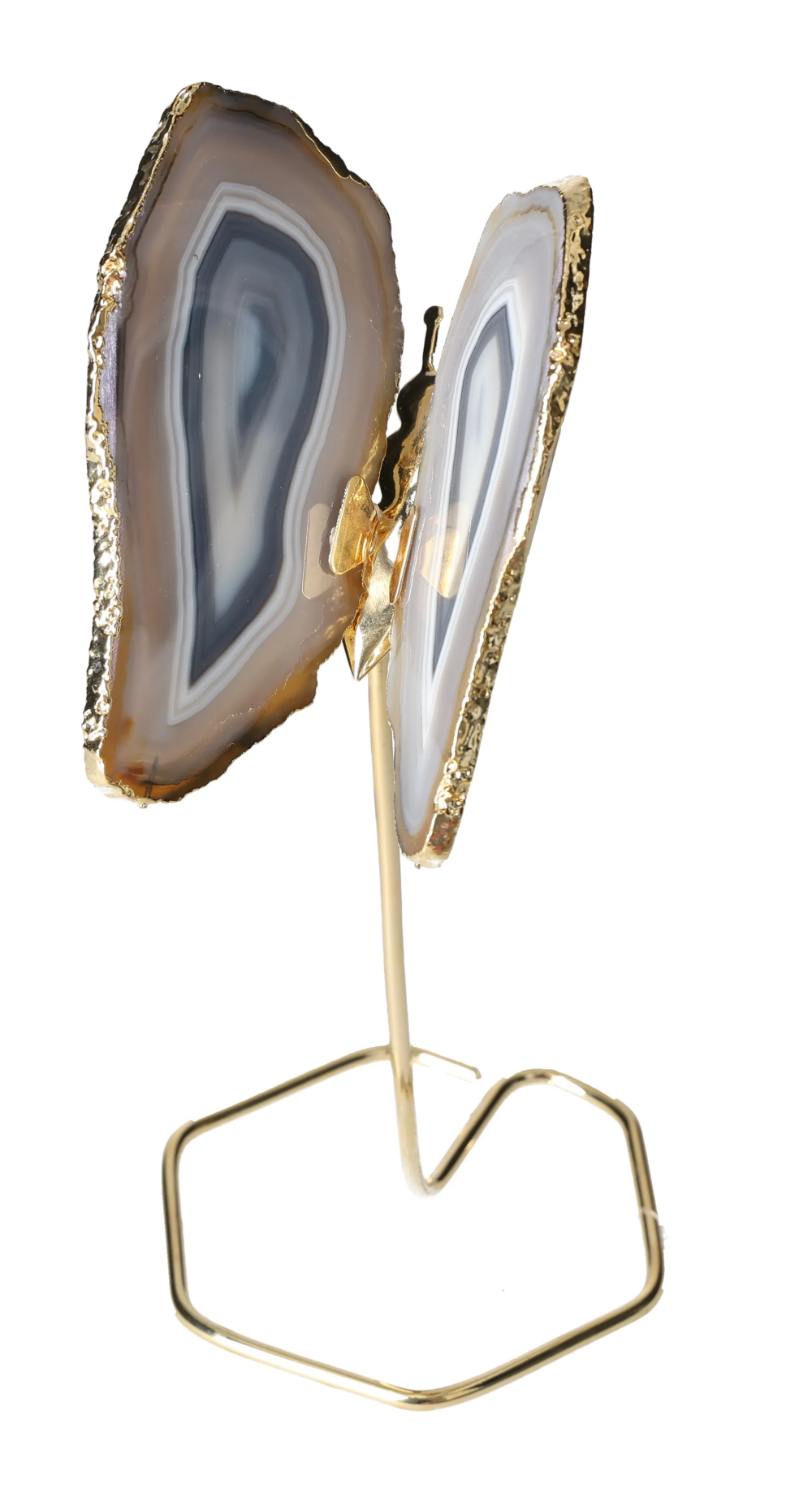 orbitvu|type:image2d