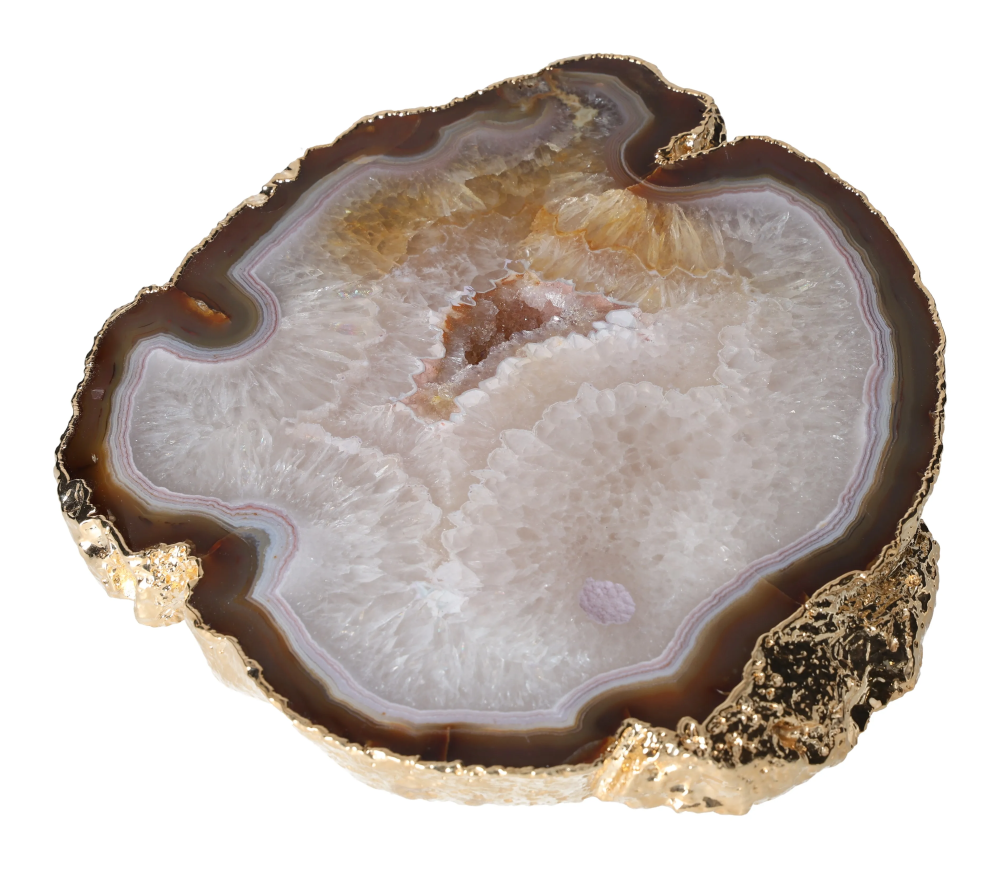 orbitvu|type:image2d