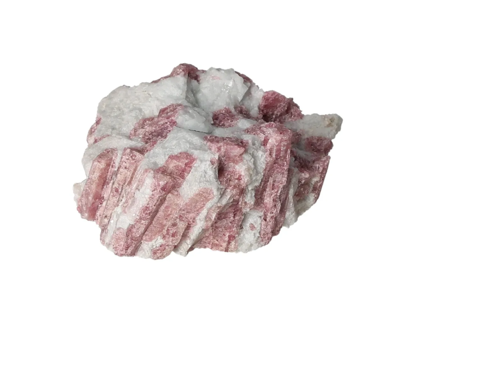 orbitvu|type:image2d