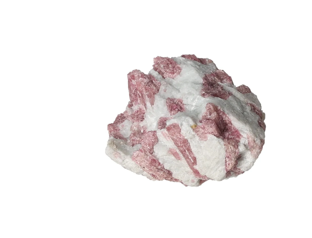 orbitvu|type:image2d