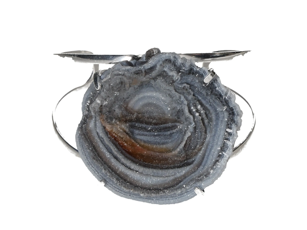 orbitvu|type:image2d