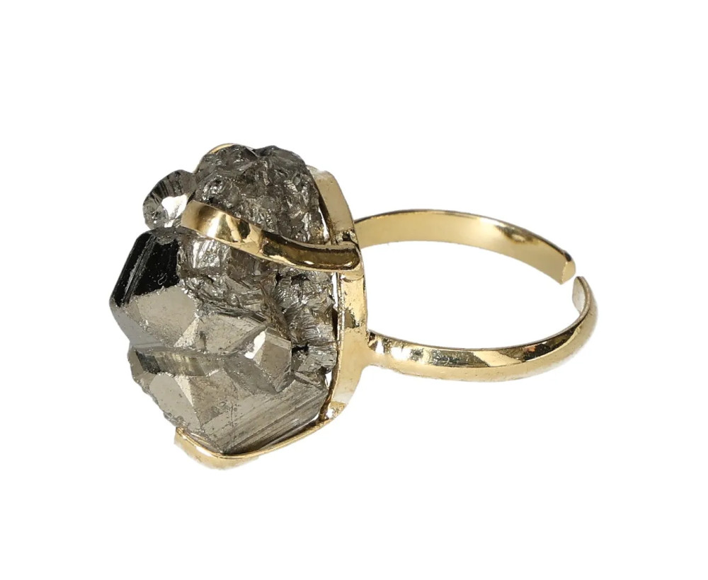 orbitvu|type:image2d