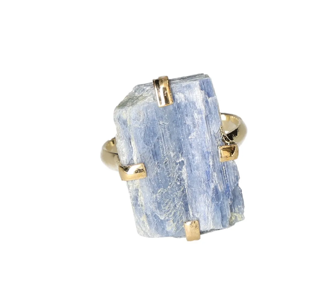 orbitvu|type:image2d