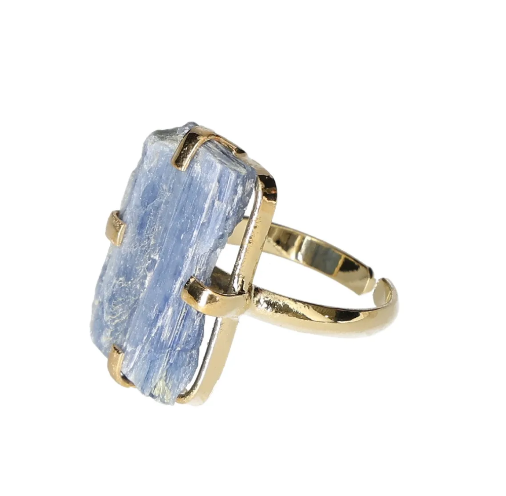 orbitvu|type:image2d