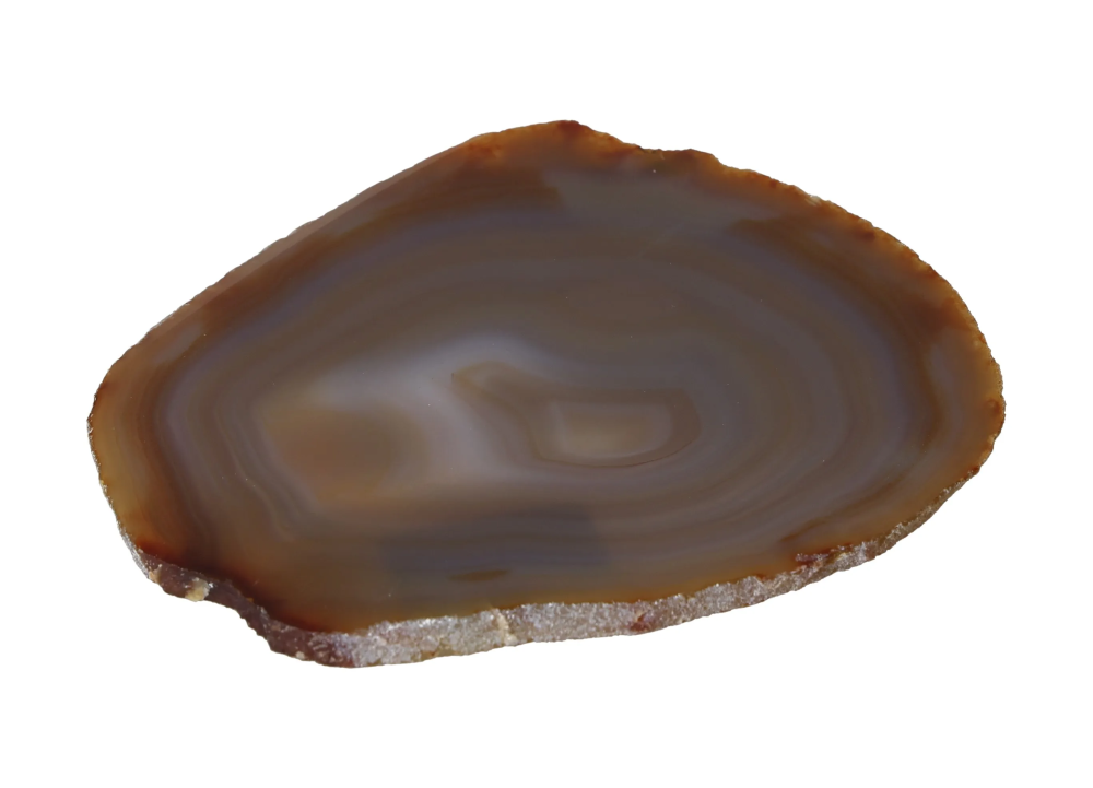 Polished Agate Slice 635103 with rich brown tones and natural patterns