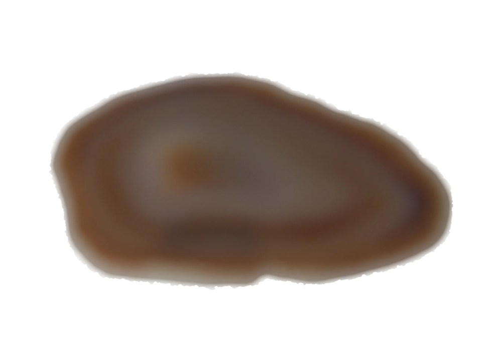 Polished Agate Slice 635103 with natural banding and warm tones
