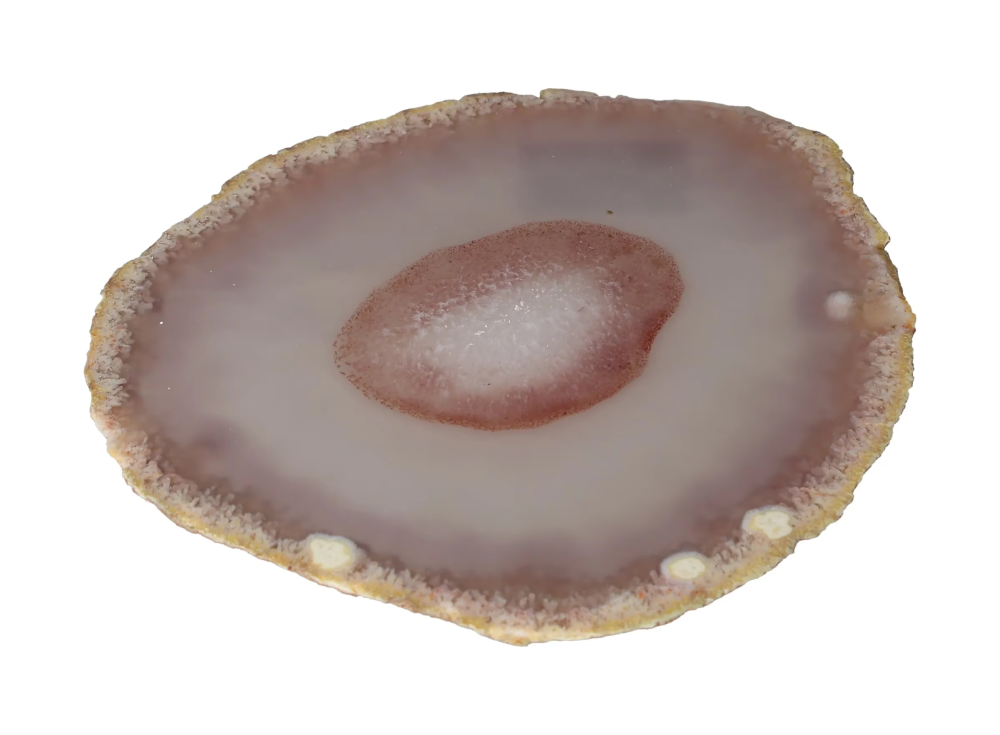 Polished Agate Slice 635202 featuring a vibrant, natural pattern with earthy tones.