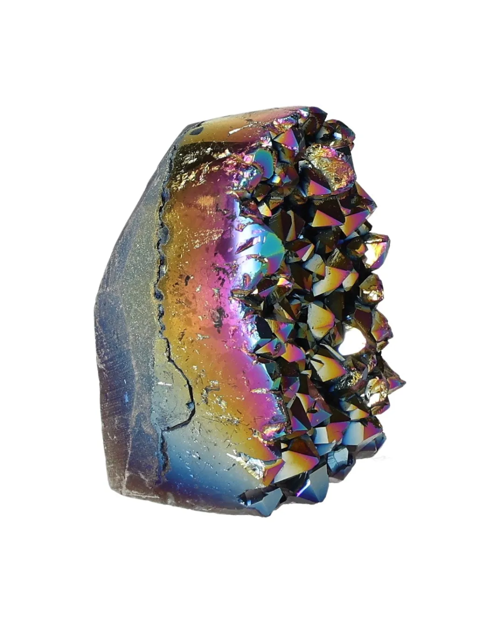 orbitvu|type:image2d