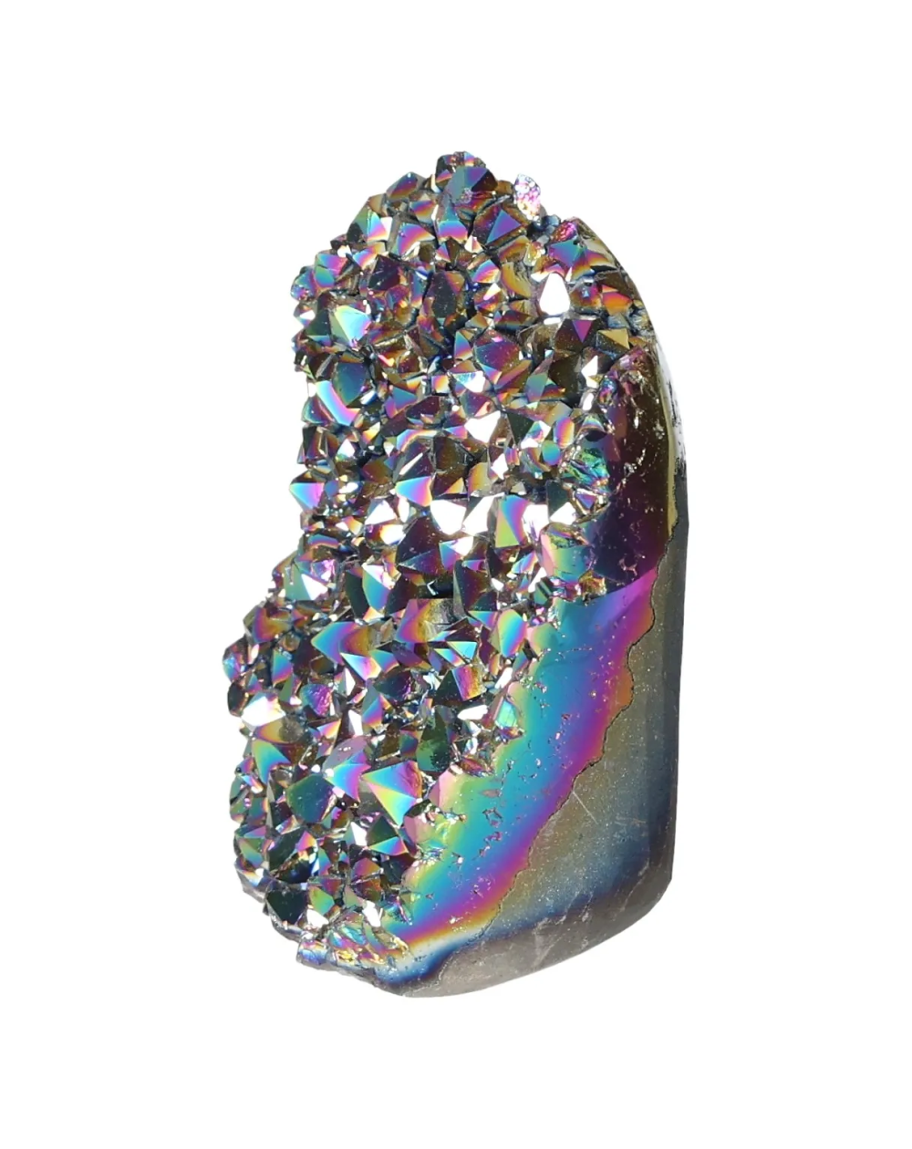 orbitvu|type:image2d