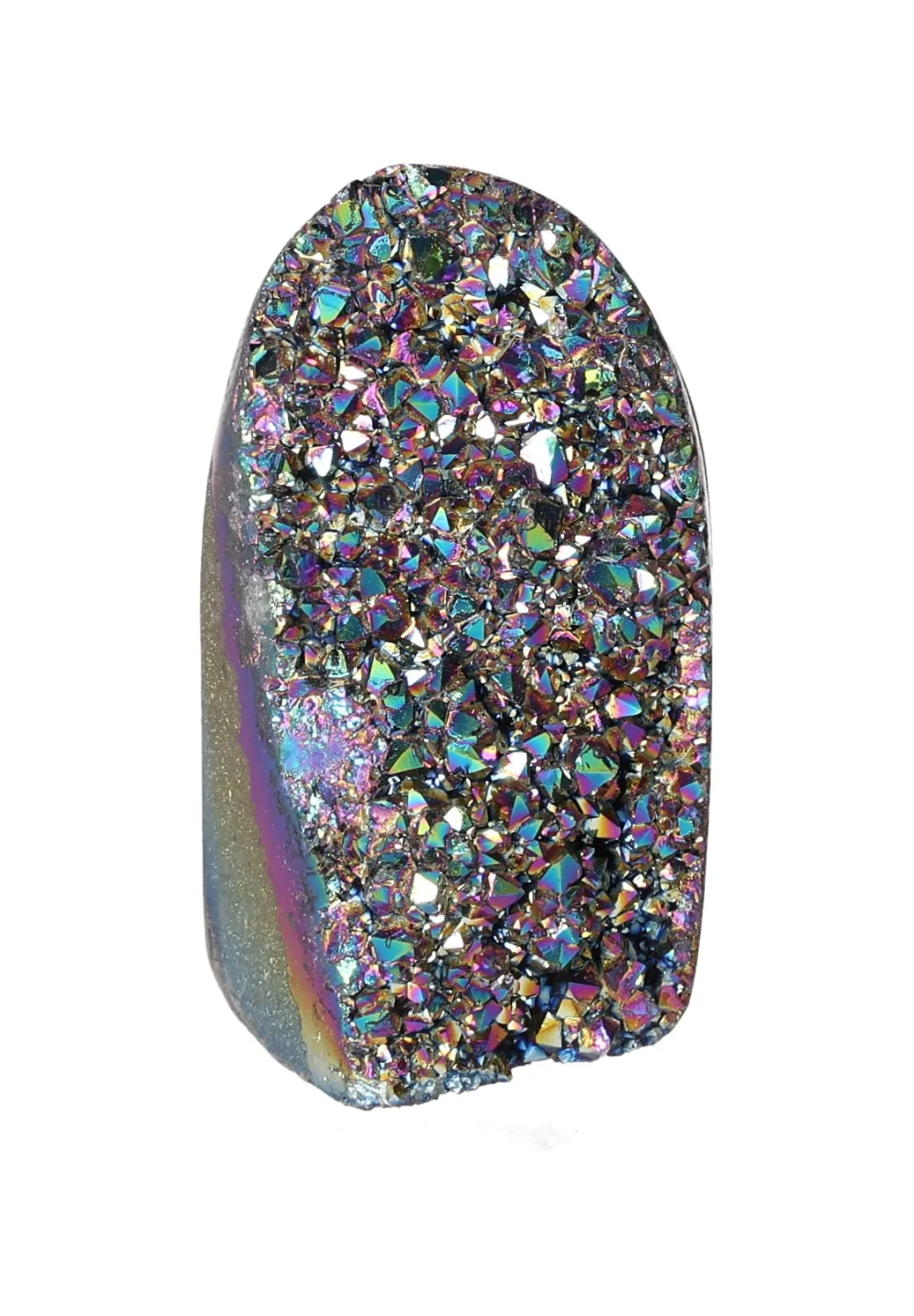 orbitvu|type:image2d