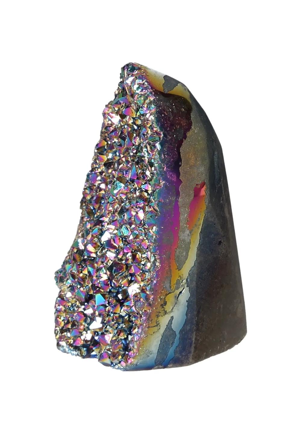 orbitvu|type:image2d