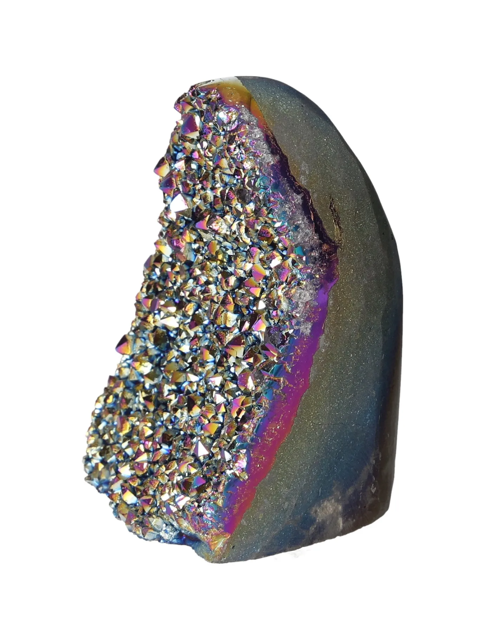 orbitvu|type:image2d