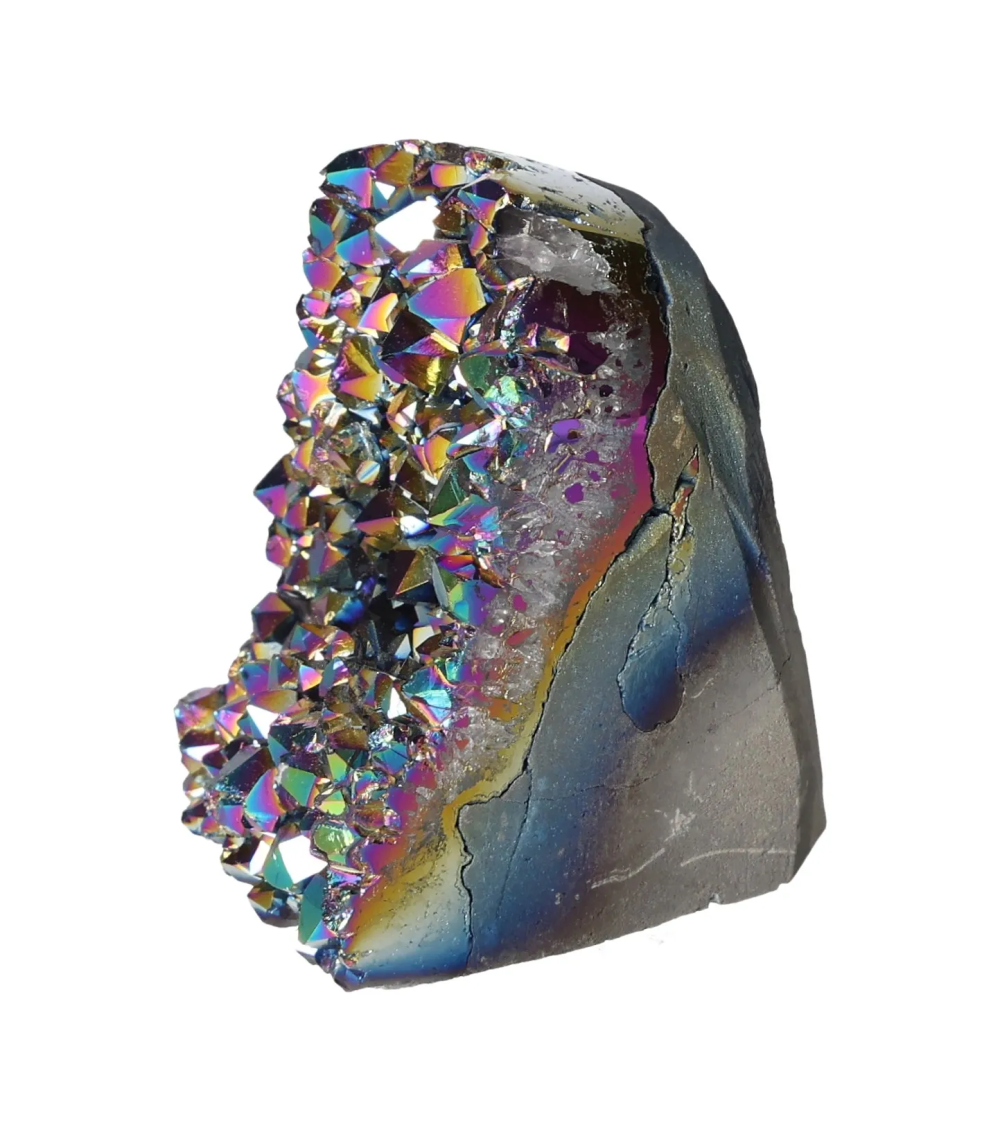 orbitvu|type:image2d