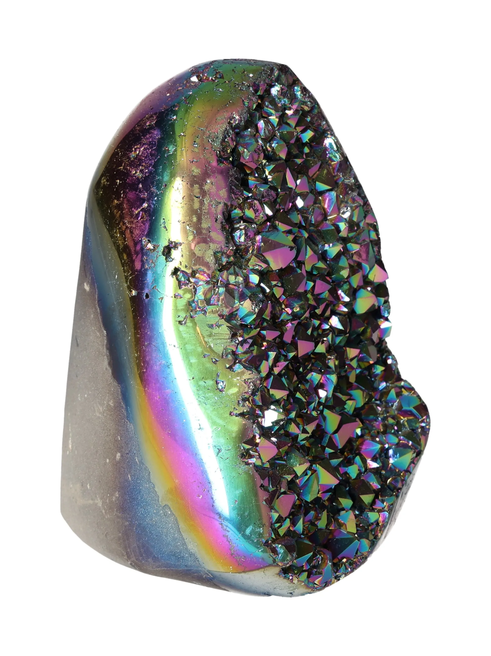 orbitvu|type:image2d