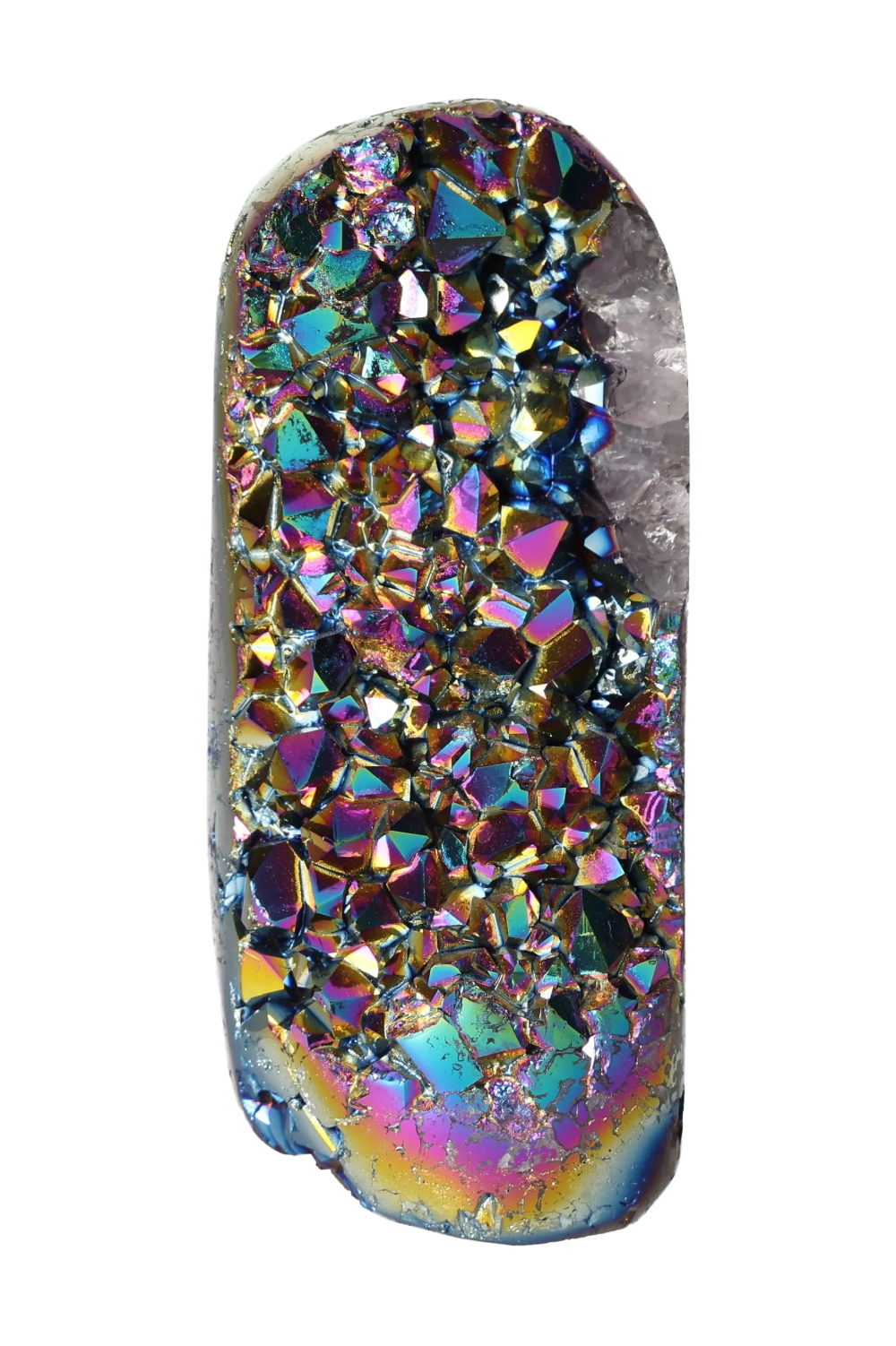 orbitvu|type:image2d