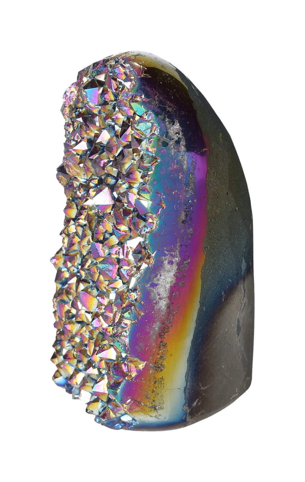 orbitvu|type:image2d