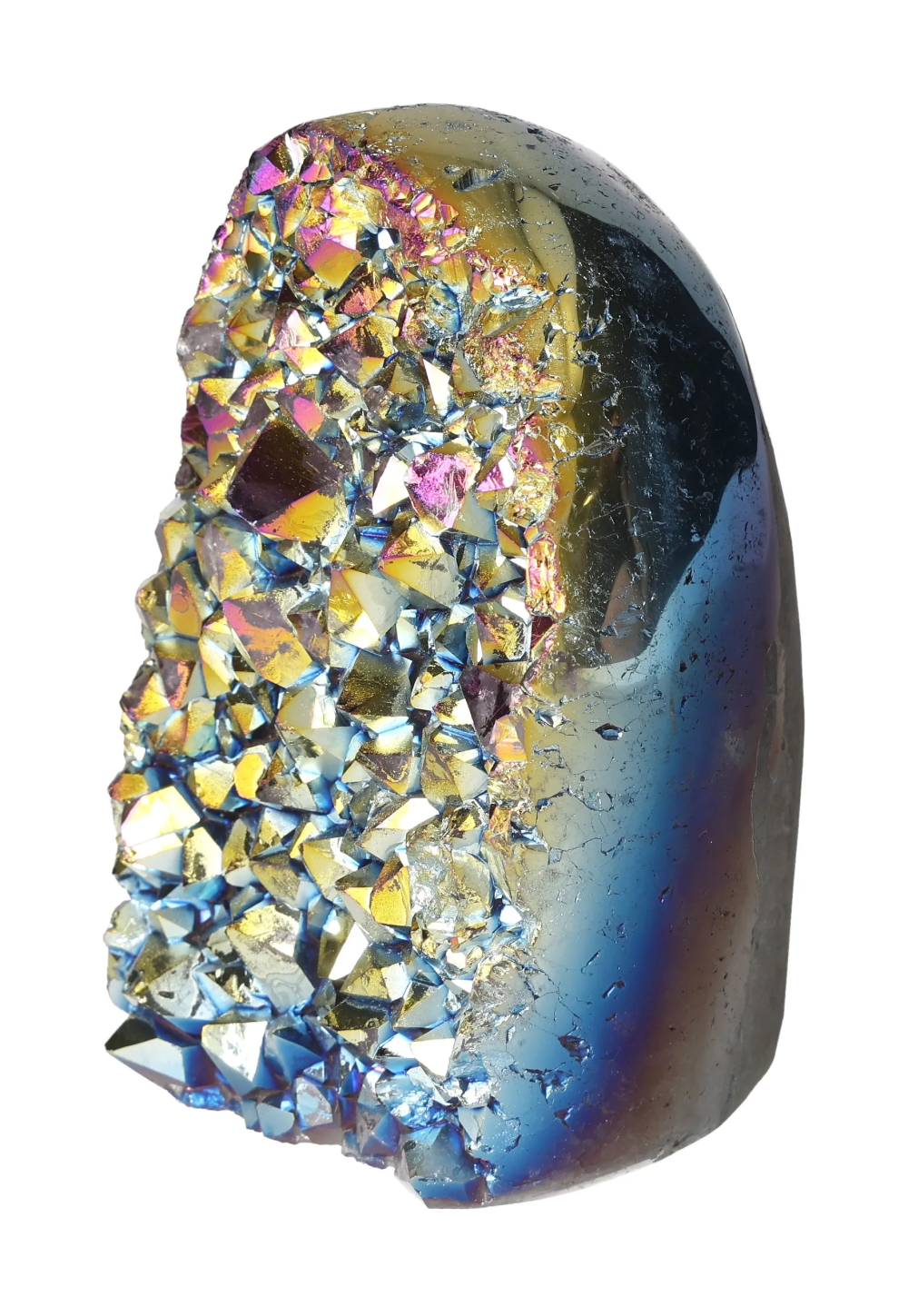 orbitvu|type:image2d