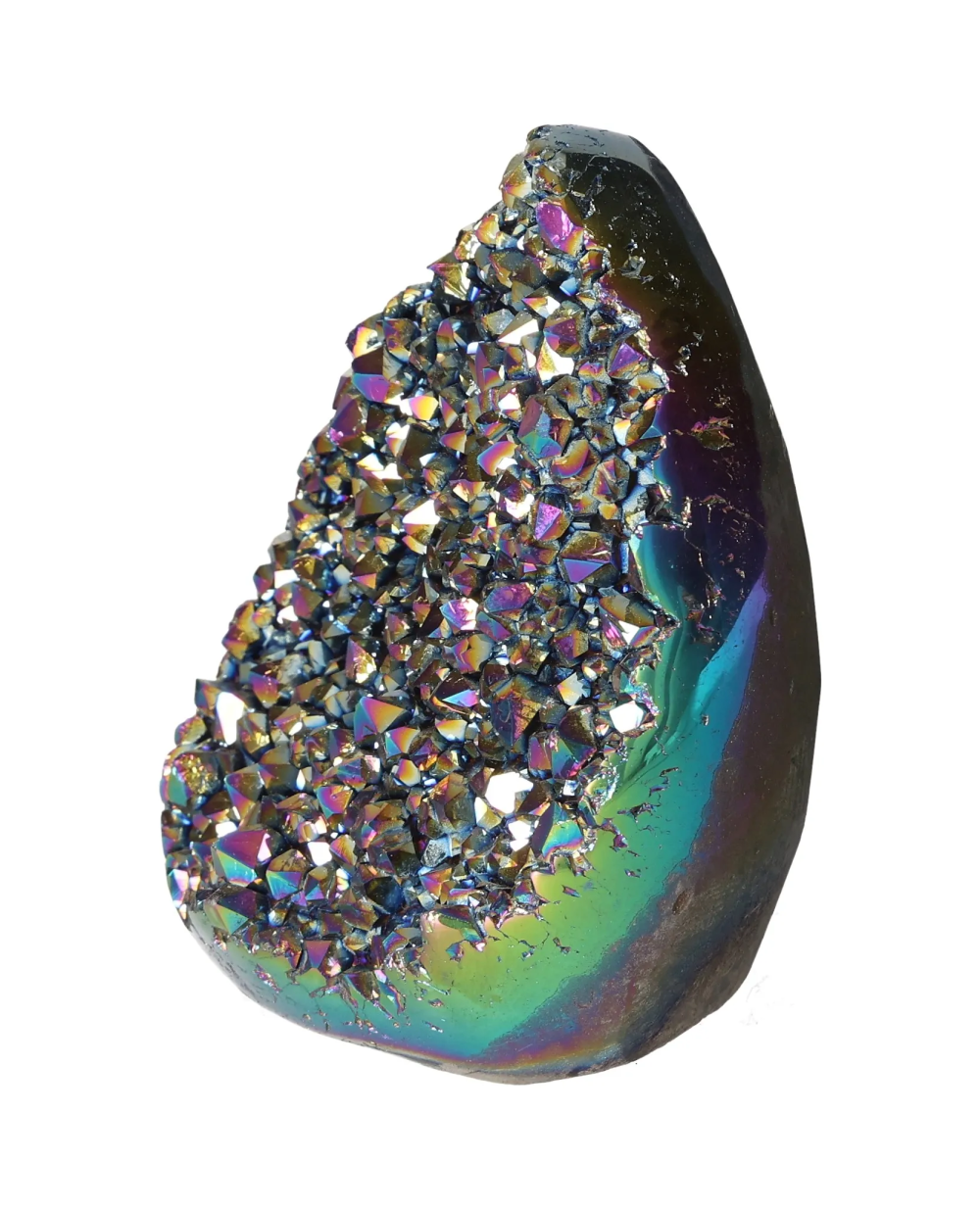 orbitvu|type:image2d