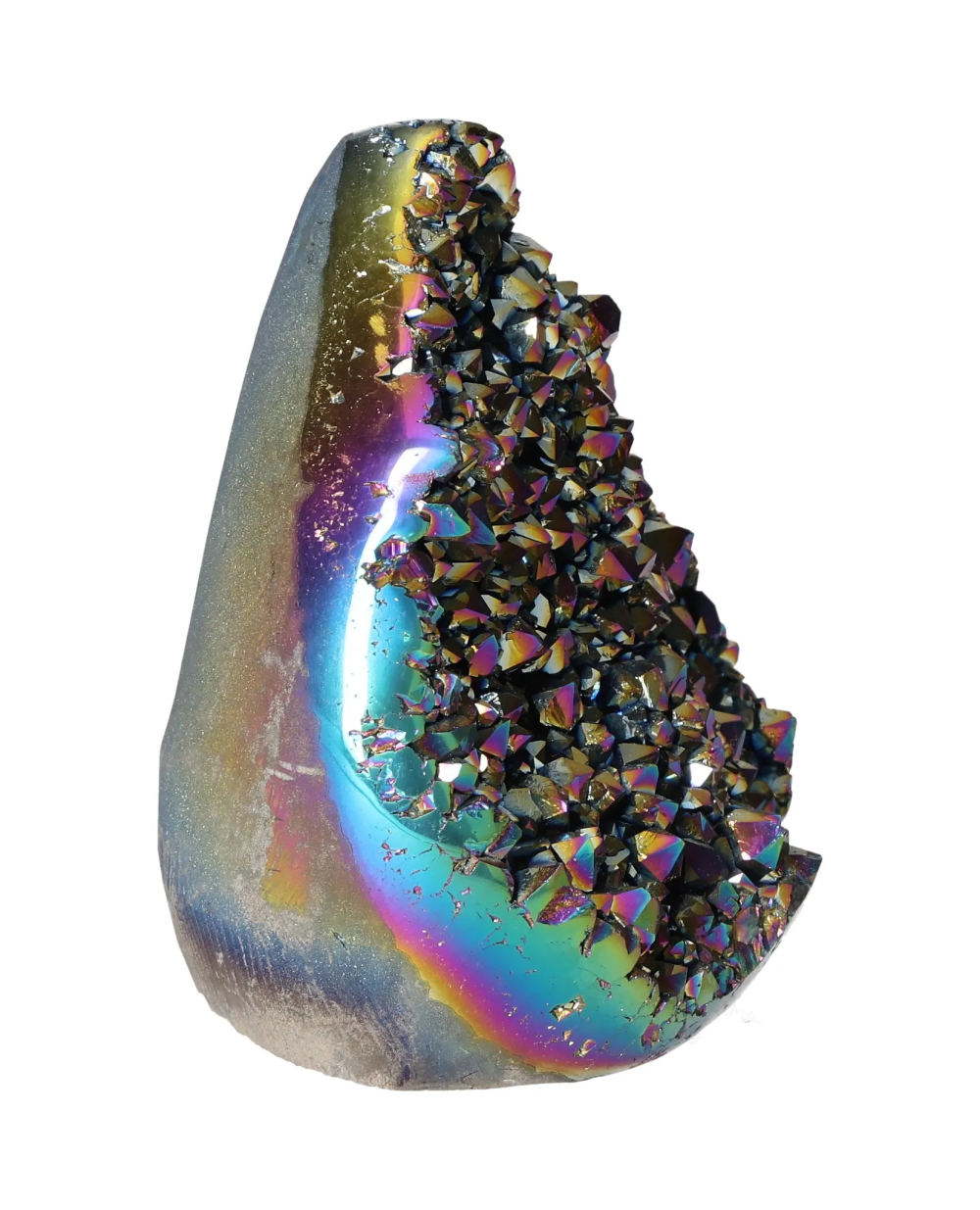 orbitvu|type:image2d