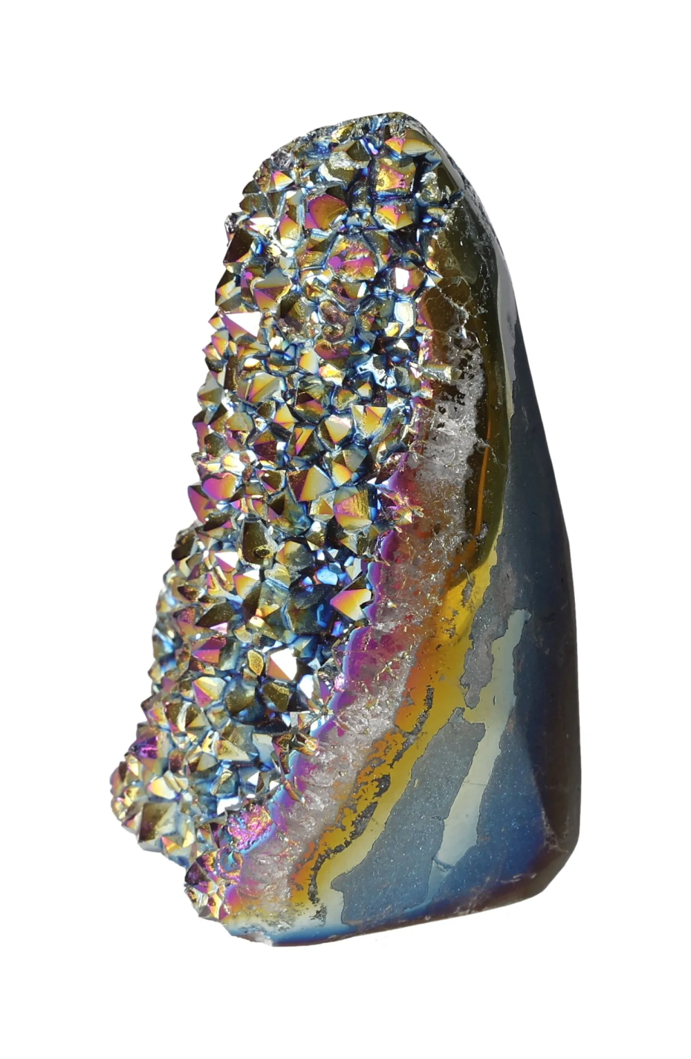 orbitvu|type:image2d