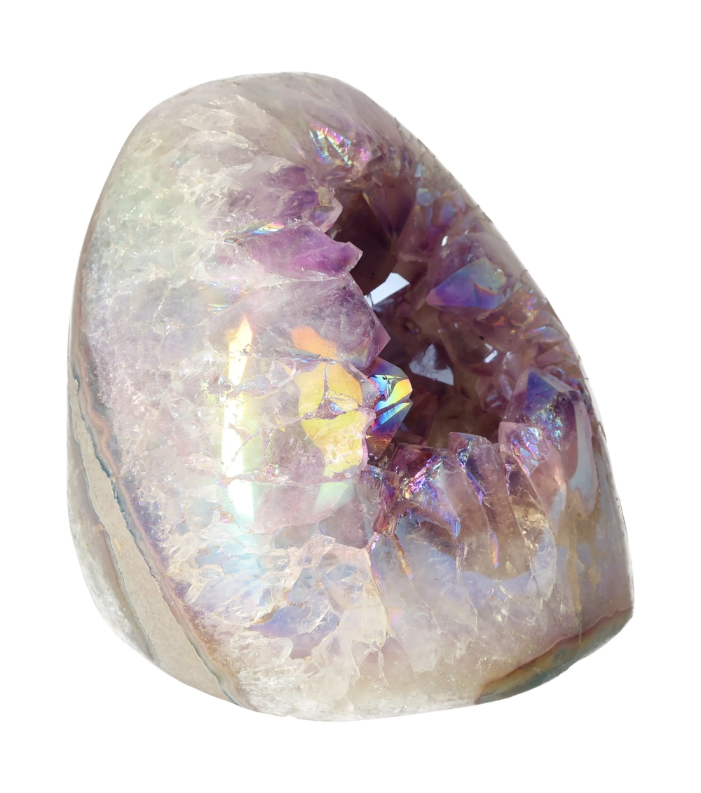 orbitvu|type:image2d