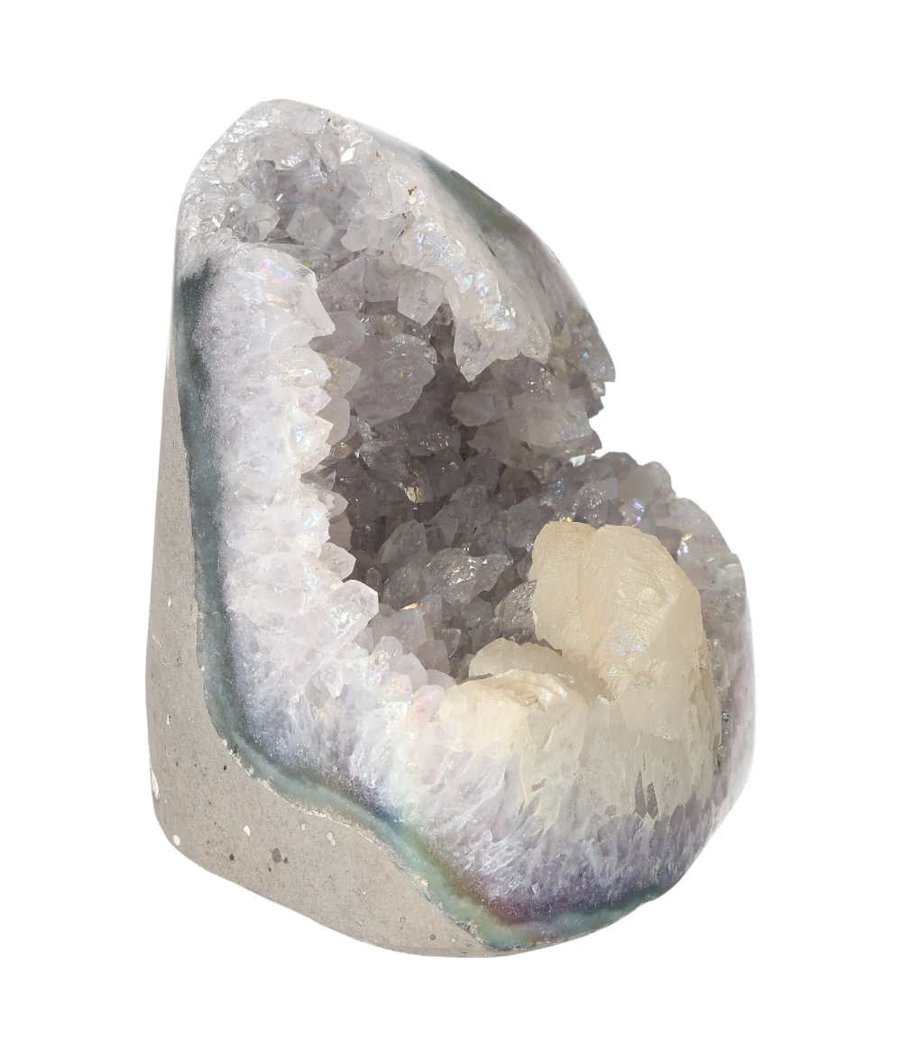 orbitvu|type:image2d