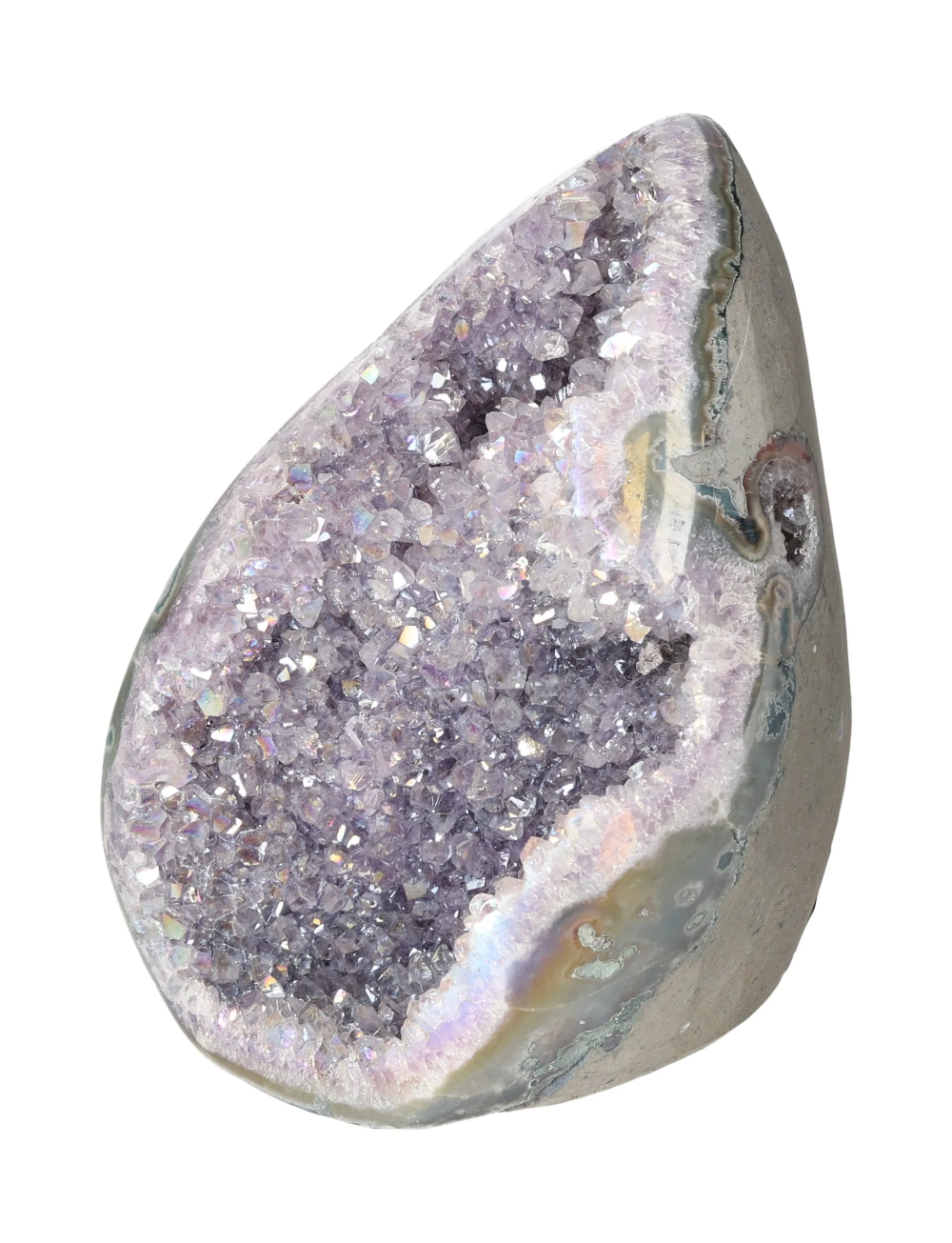 orbitvu|type:image2d