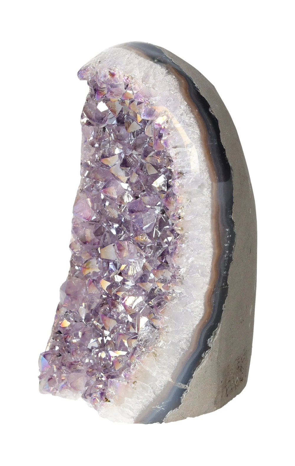 orbitvu|type:image2d