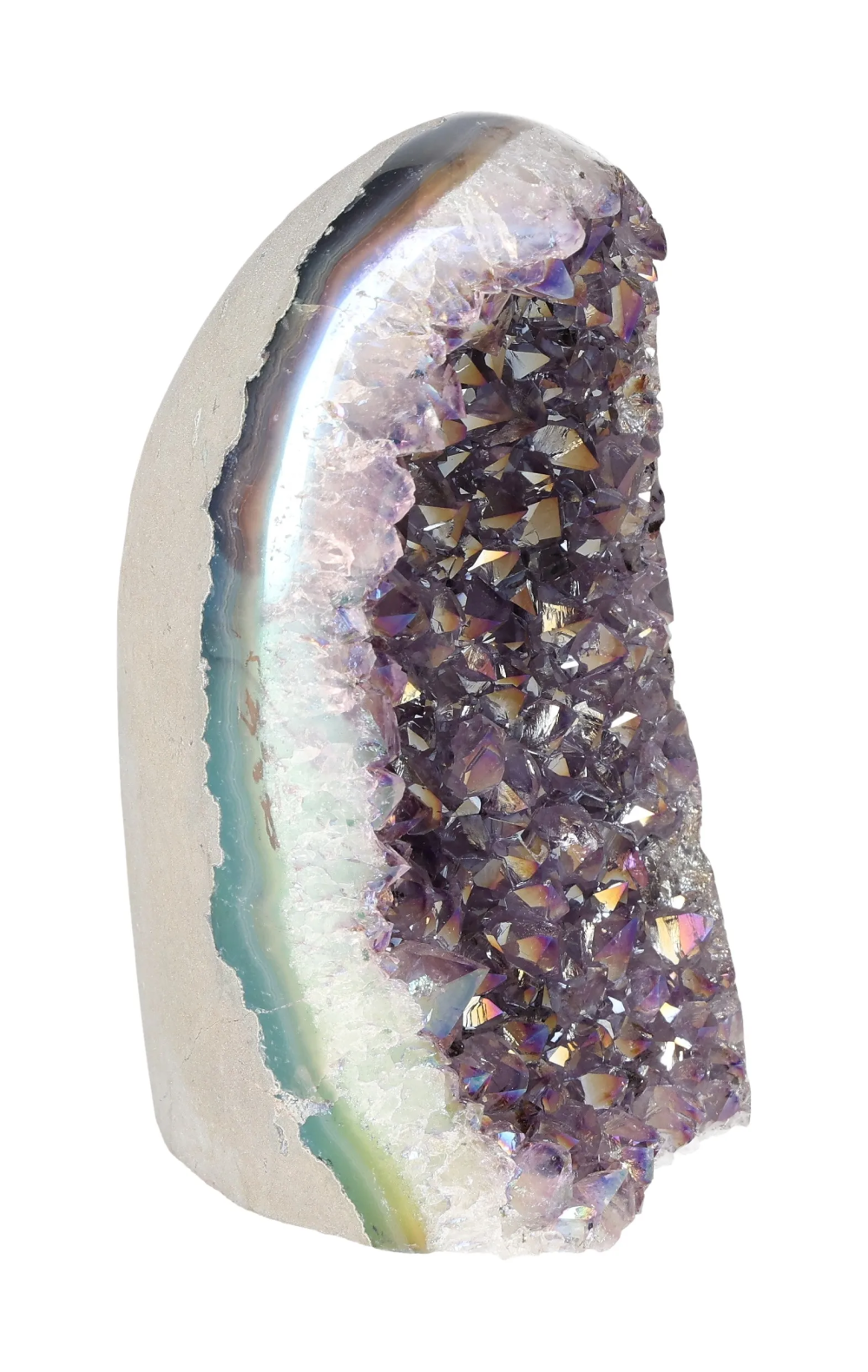 orbitvu|type:image2d