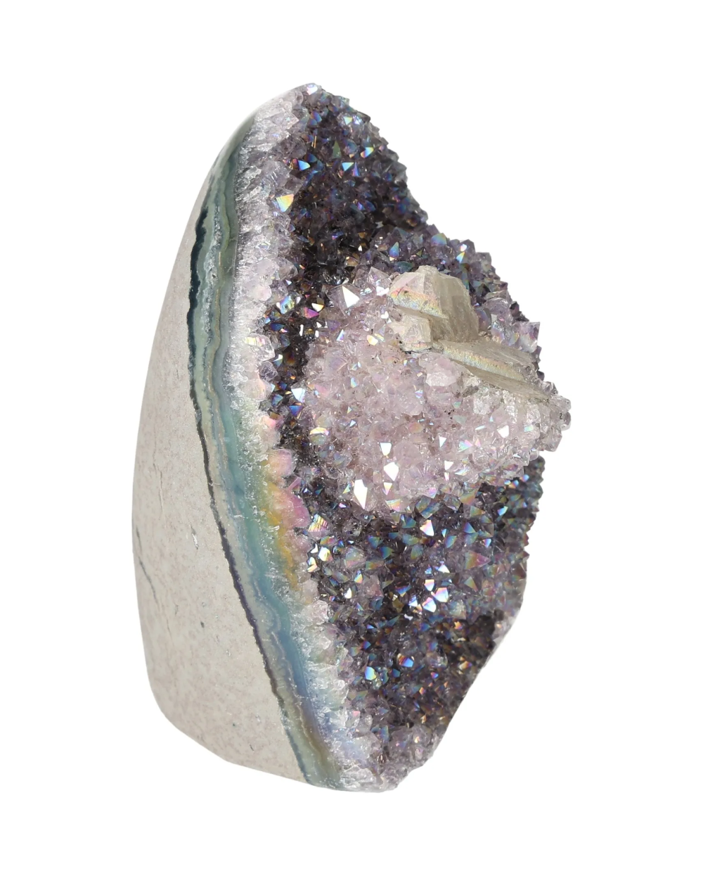 orbitvu|type:image2d