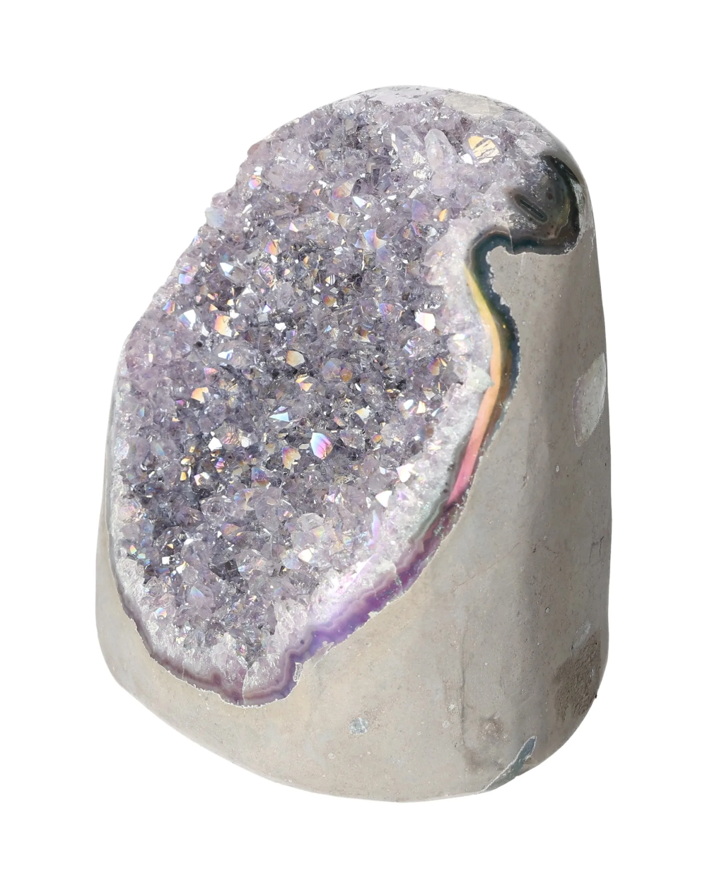 orbitvu|type:image2d