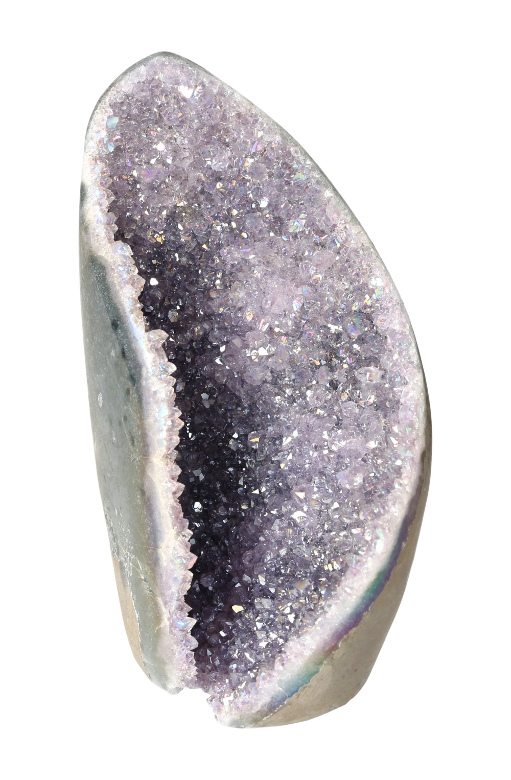 orbitvu|type:image2d