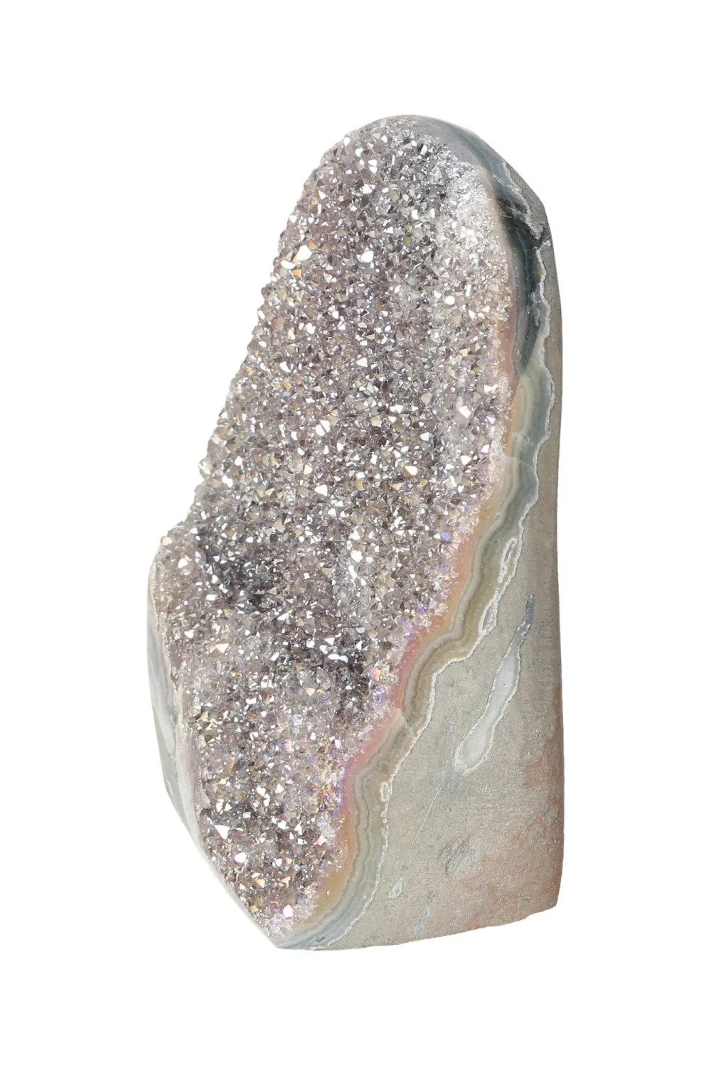 orbitvu|type:image2d