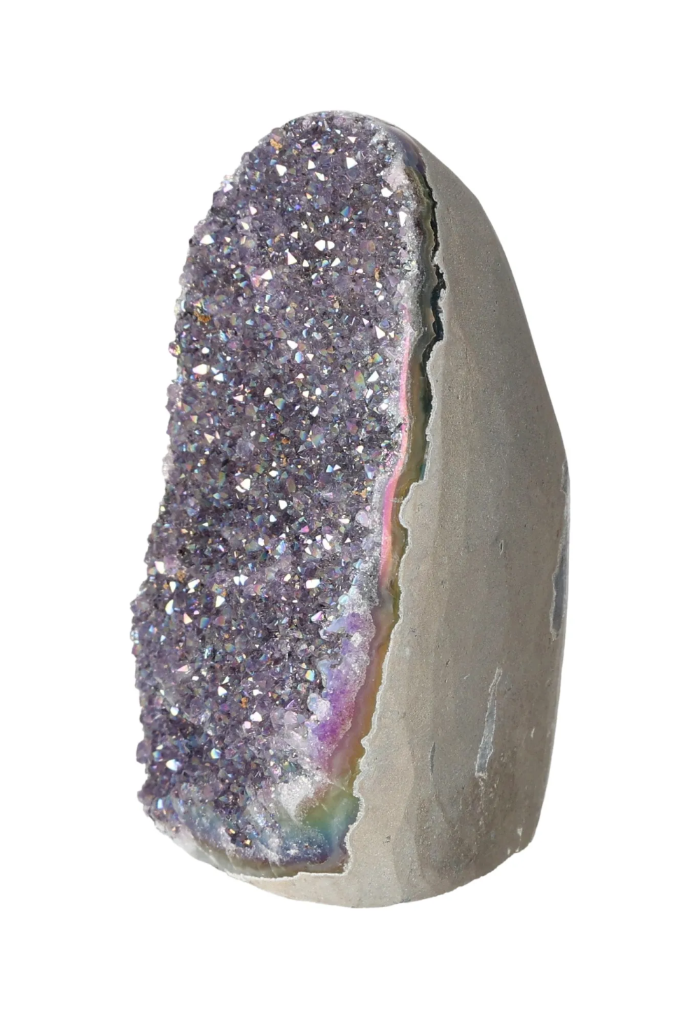 orbitvu|type:image2d