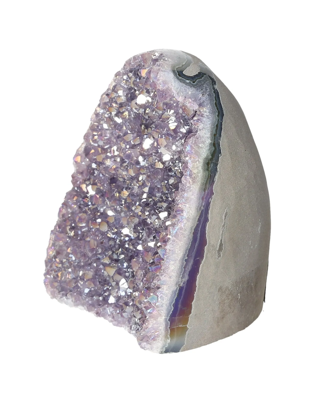 orbitvu|type:image2d