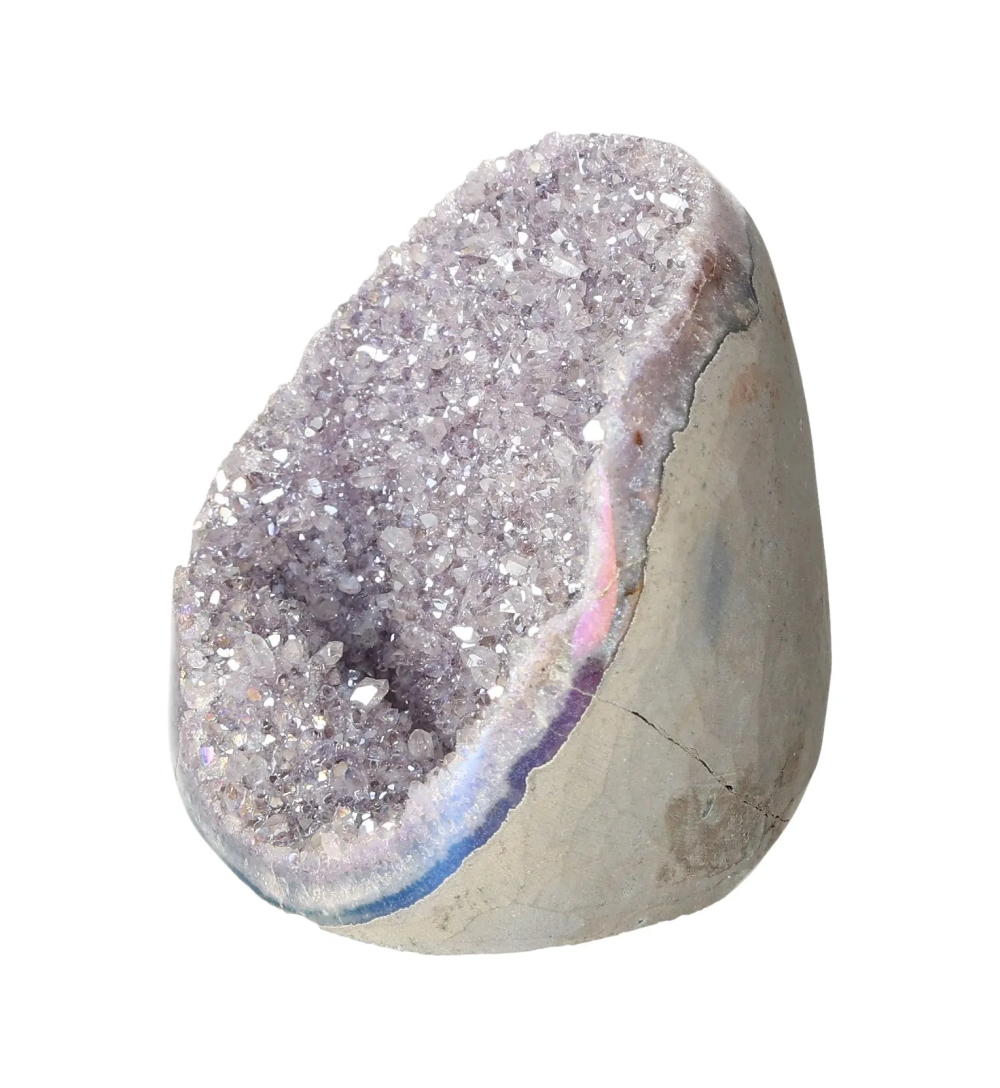 orbitvu|type:image2d