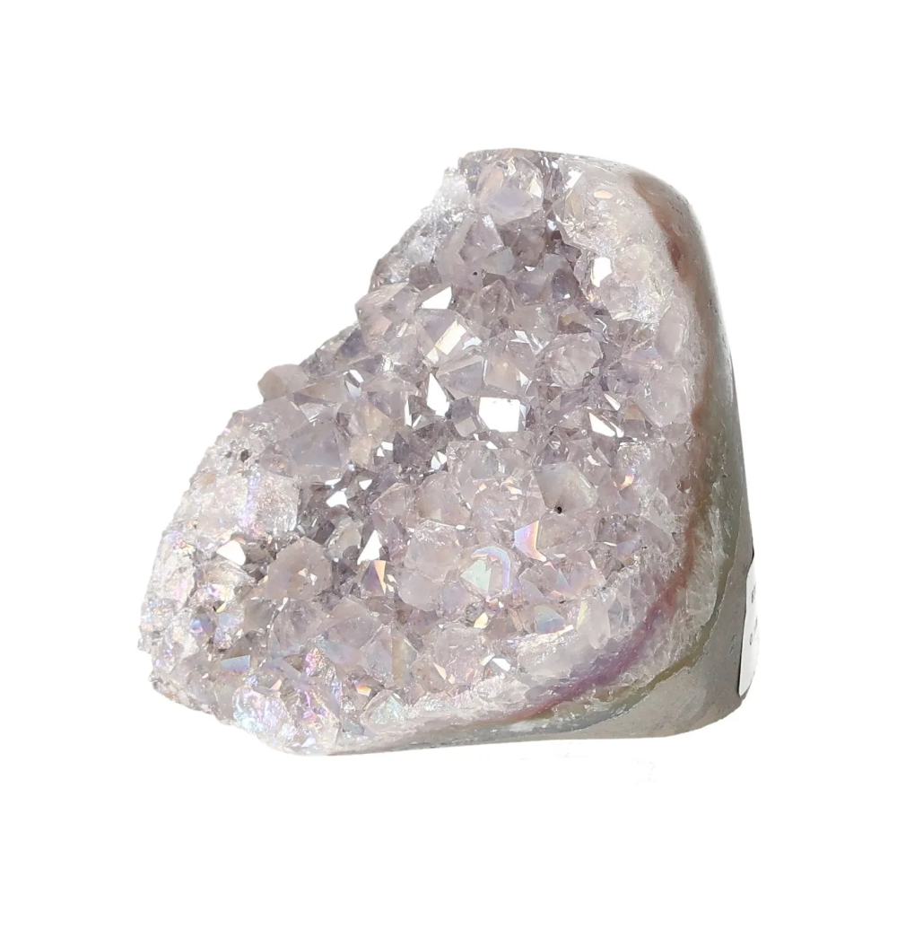 orbitvu|type:image2d